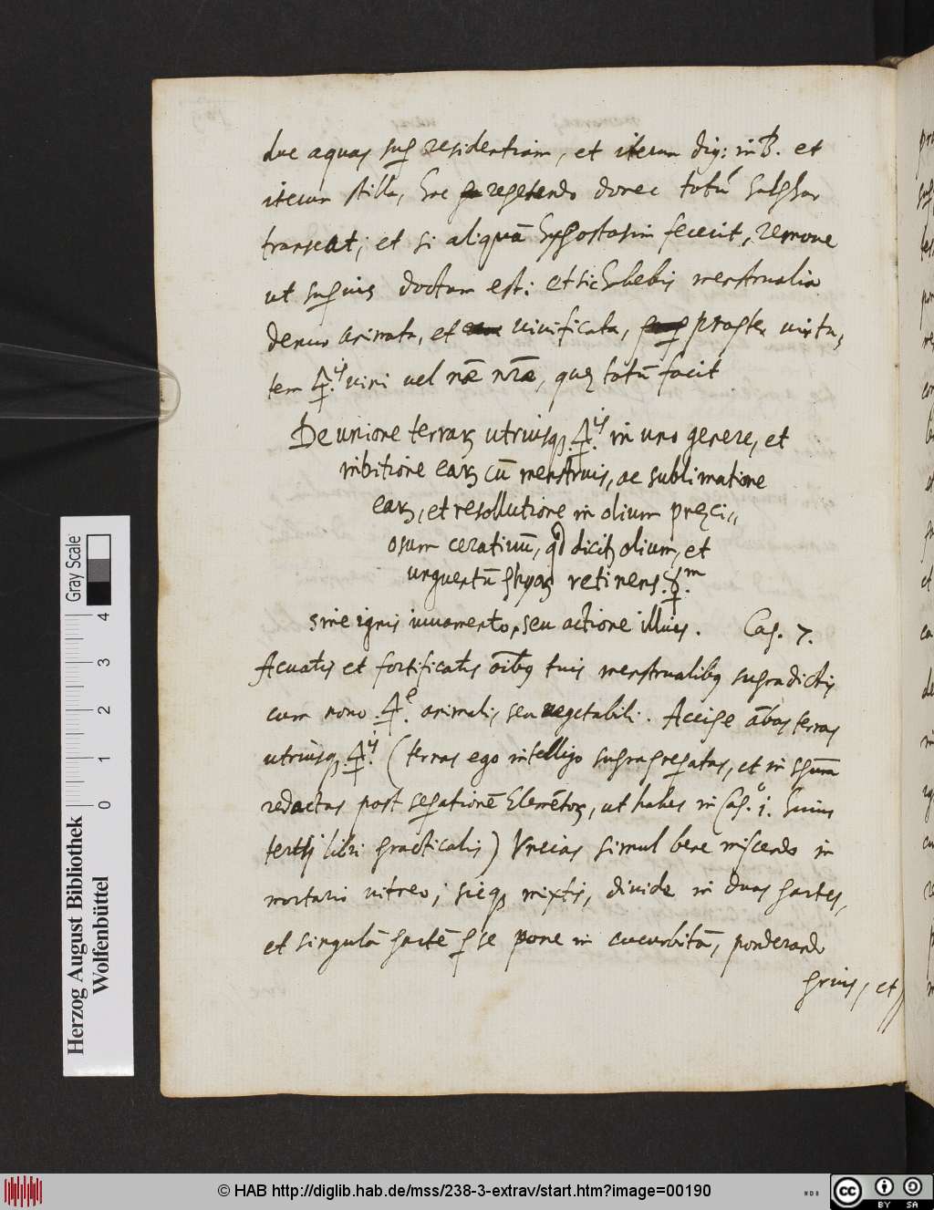 http://diglib.hab.de/mss/238-3-extrav/00190.jpg