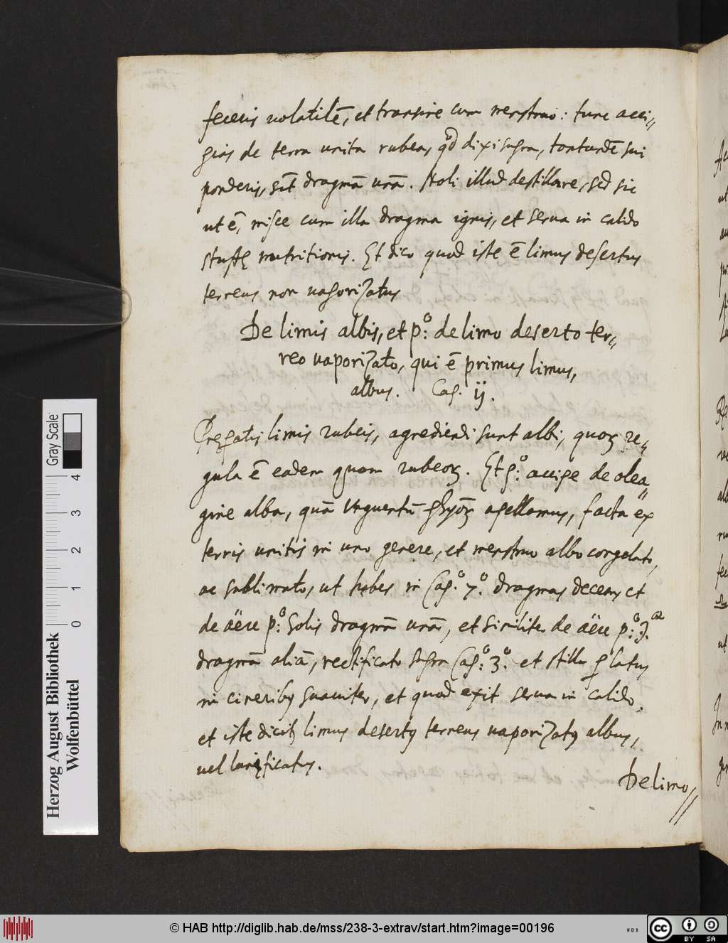http://diglib.hab.de/mss/238-3-extrav/00196.jpg