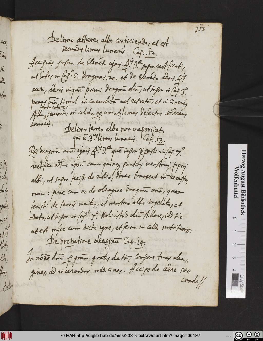http://diglib.hab.de/mss/238-3-extrav/00197.jpg