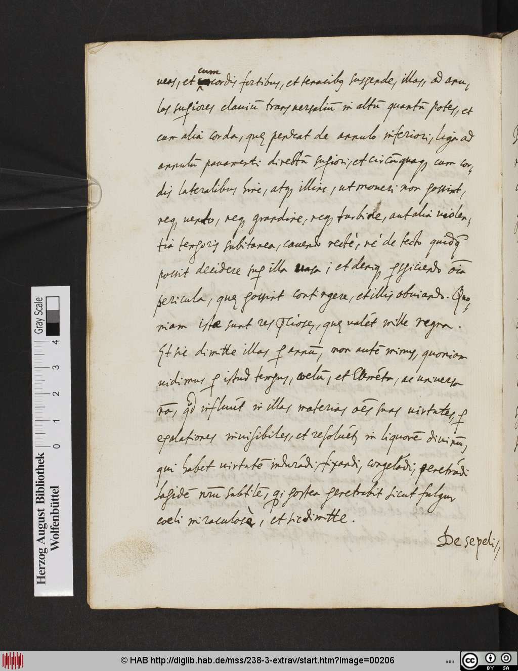 http://diglib.hab.de/mss/238-3-extrav/00206.jpg