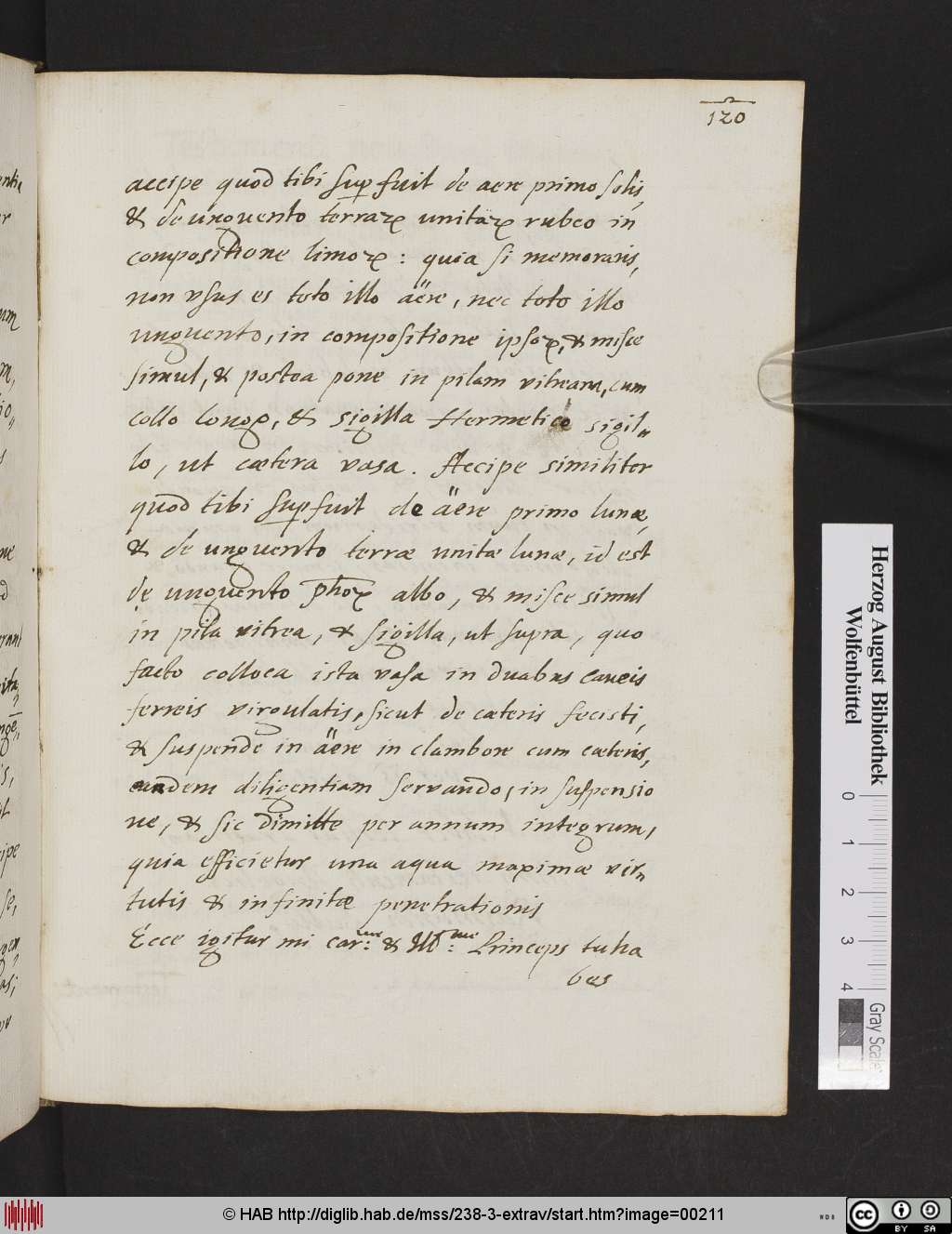http://diglib.hab.de/mss/238-3-extrav/00211.jpg