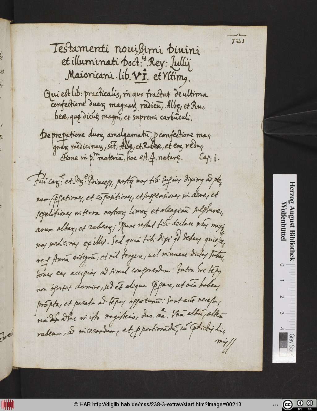http://diglib.hab.de/mss/238-3-extrav/00213.jpg