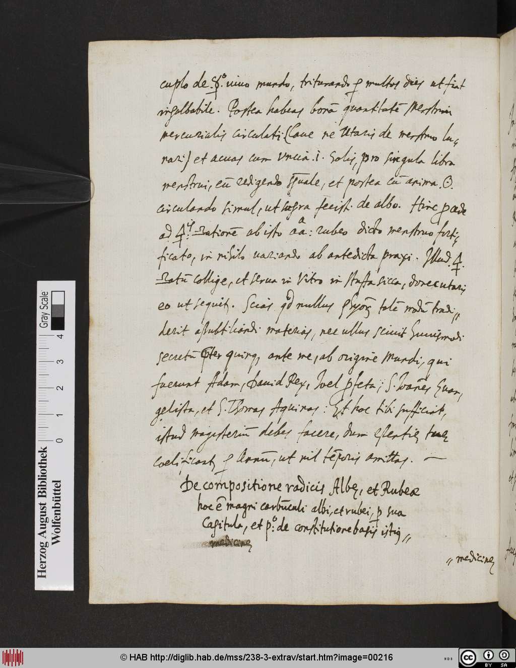 http://diglib.hab.de/mss/238-3-extrav/00216.jpg