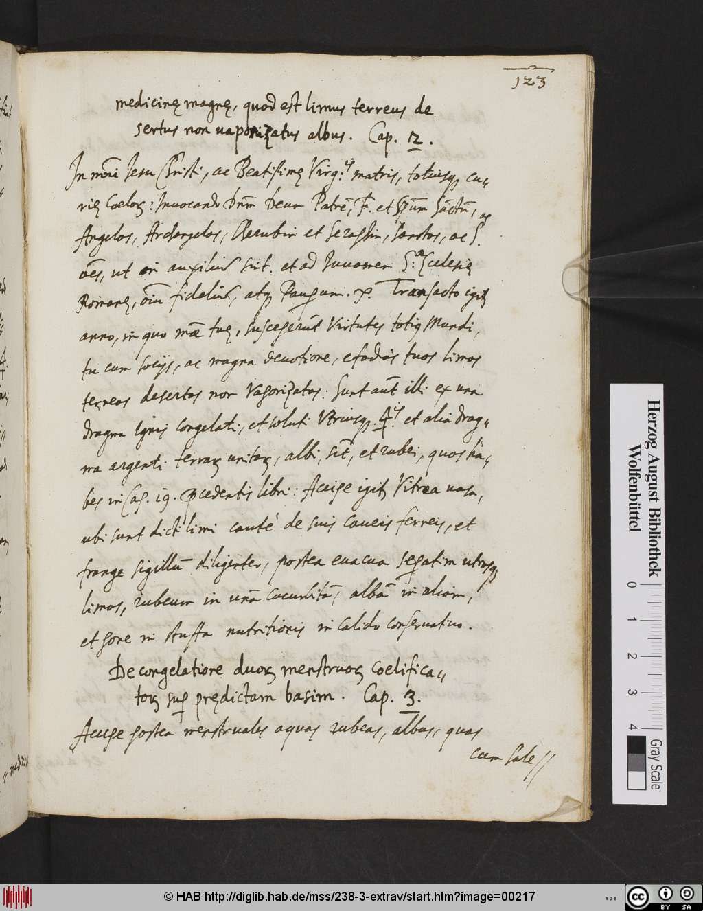 http://diglib.hab.de/mss/238-3-extrav/00217.jpg