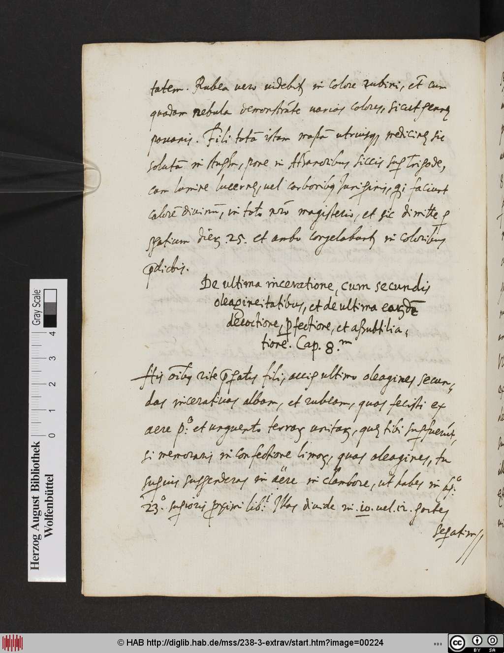 http://diglib.hab.de/mss/238-3-extrav/00224.jpg