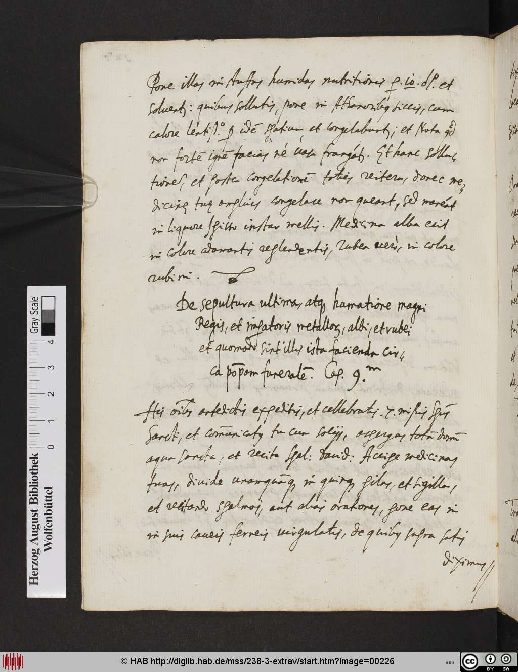http://diglib.hab.de/mss/238-3-extrav/00226.jpg