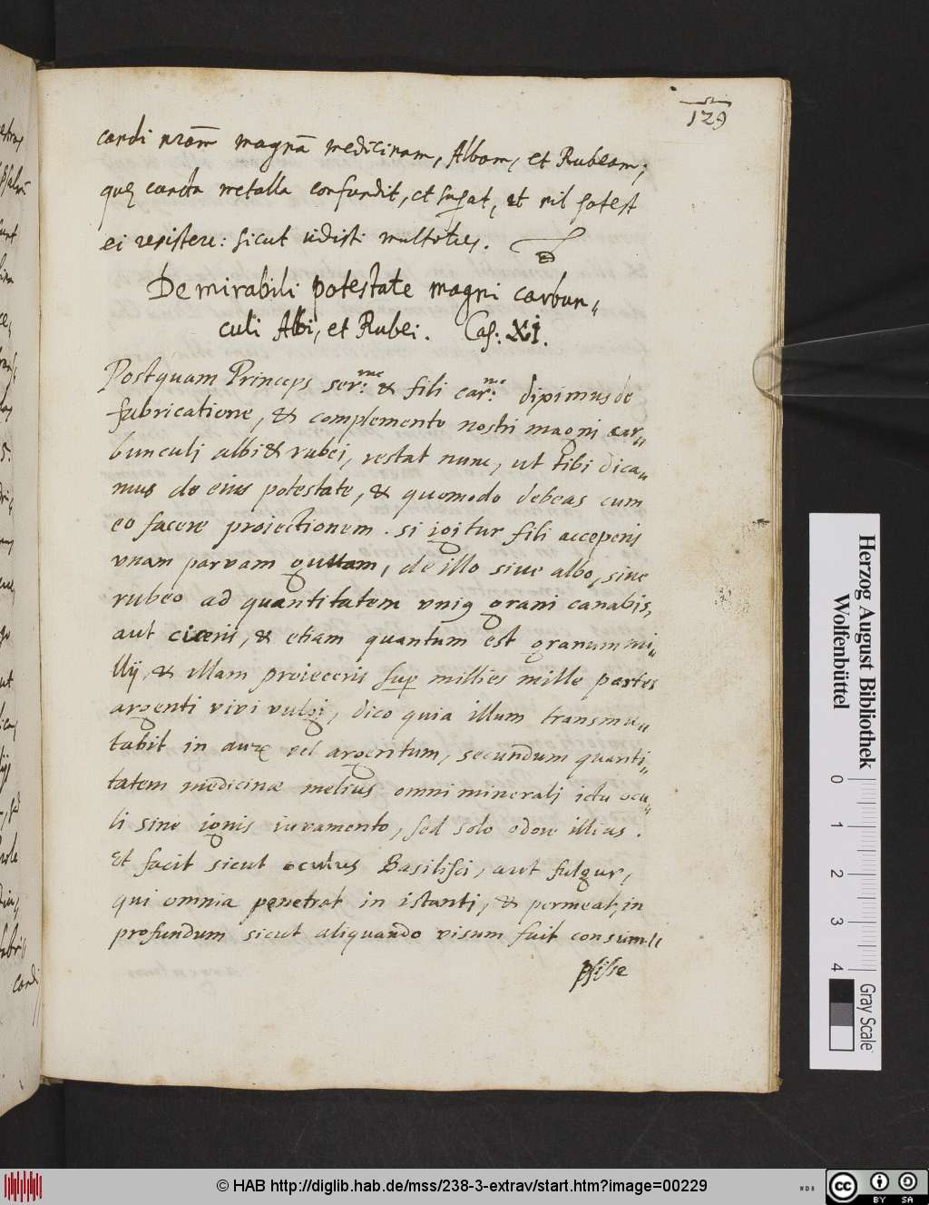 http://diglib.hab.de/mss/238-3-extrav/00229.jpg