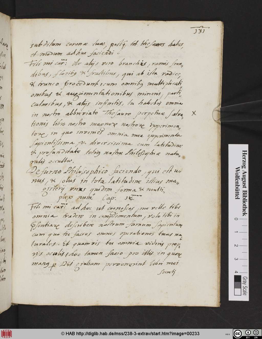 http://diglib.hab.de/mss/238-3-extrav/00233.jpg