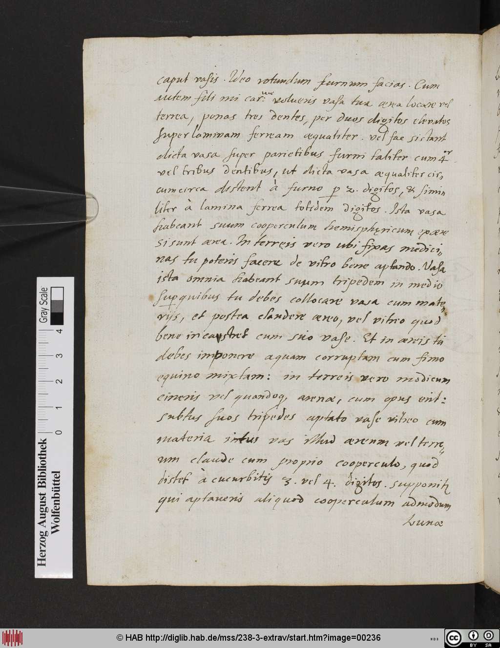 http://diglib.hab.de/mss/238-3-extrav/00236.jpg