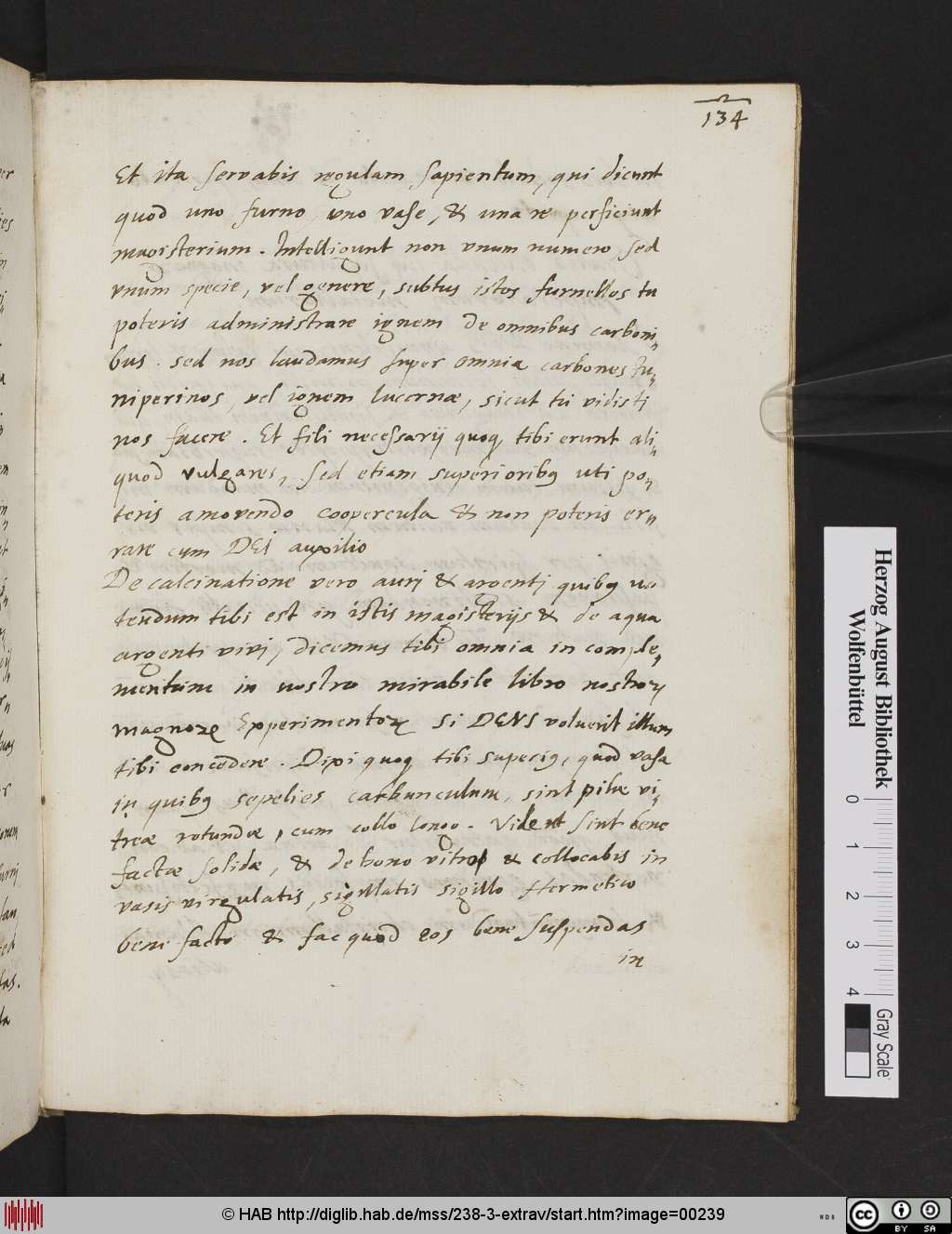http://diglib.hab.de/mss/238-3-extrav/00239.jpg