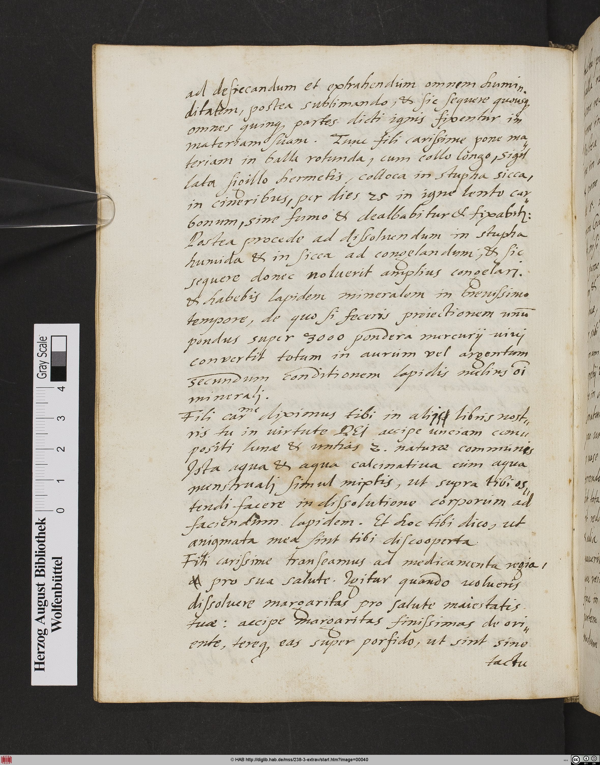 http://diglib.hab.de/mss/238-3-extrav/max/00040.jpg