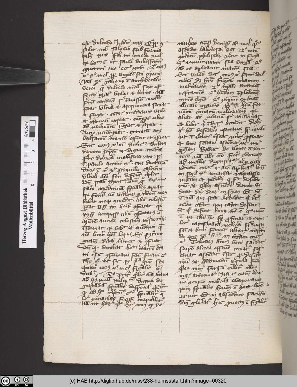 http://diglib.hab.de/mss/238-helmst/00320.jpg