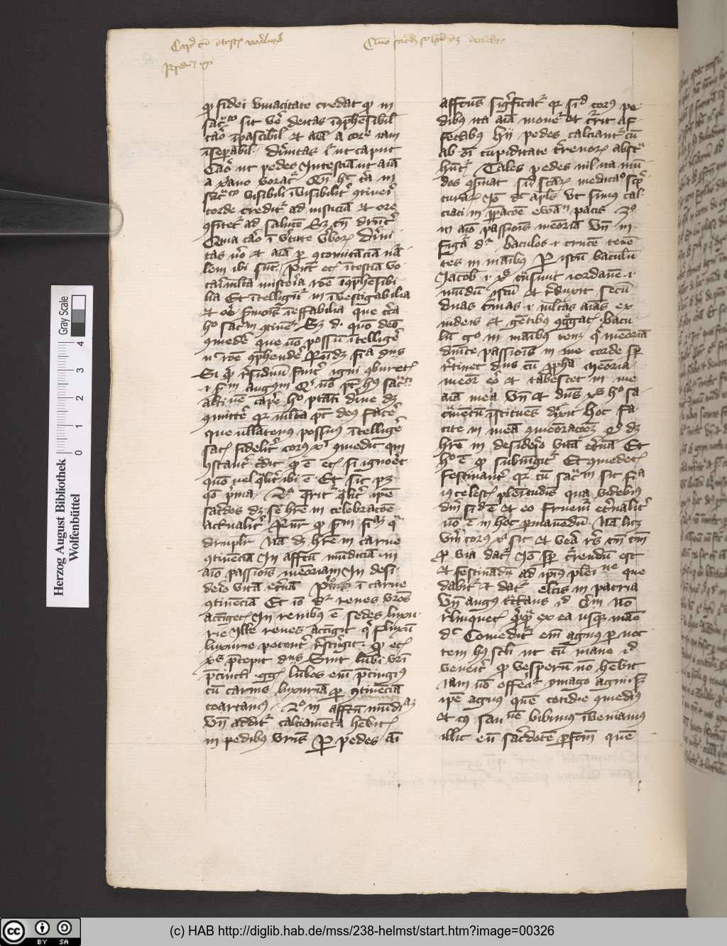 http://diglib.hab.de/mss/238-helmst/00326.jpg