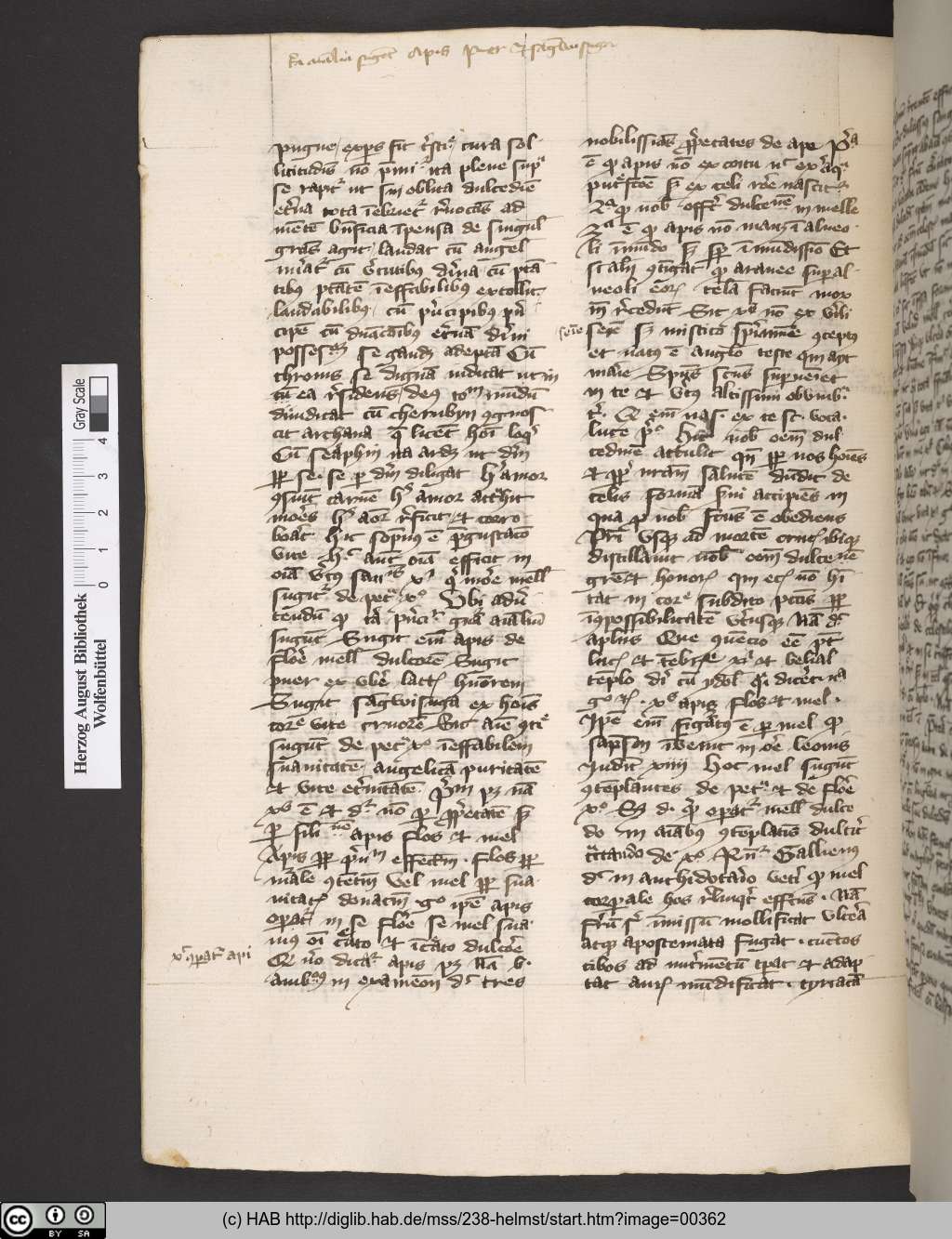 http://diglib.hab.de/mss/238-helmst/00362.jpg