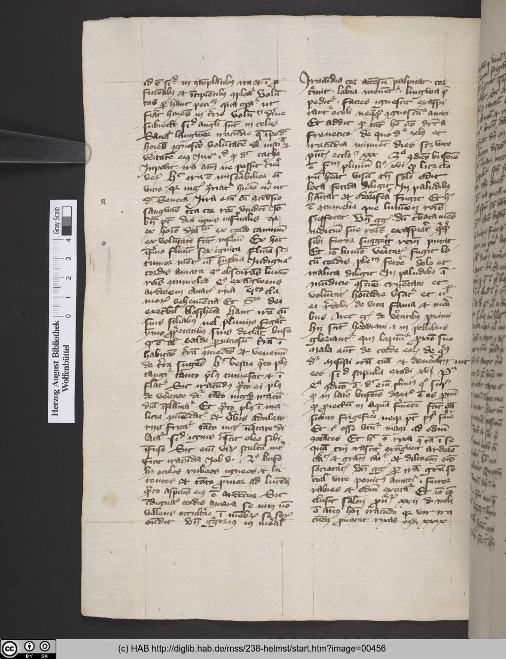 http://diglib.hab.de/mss/238-helmst/00456.jpg