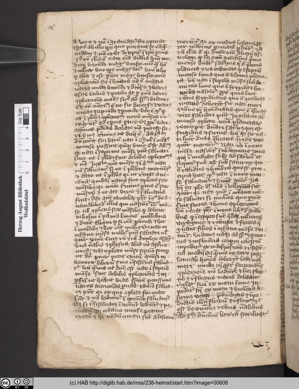 http://diglib.hab.de/mss/238-helmst/00606.jpg