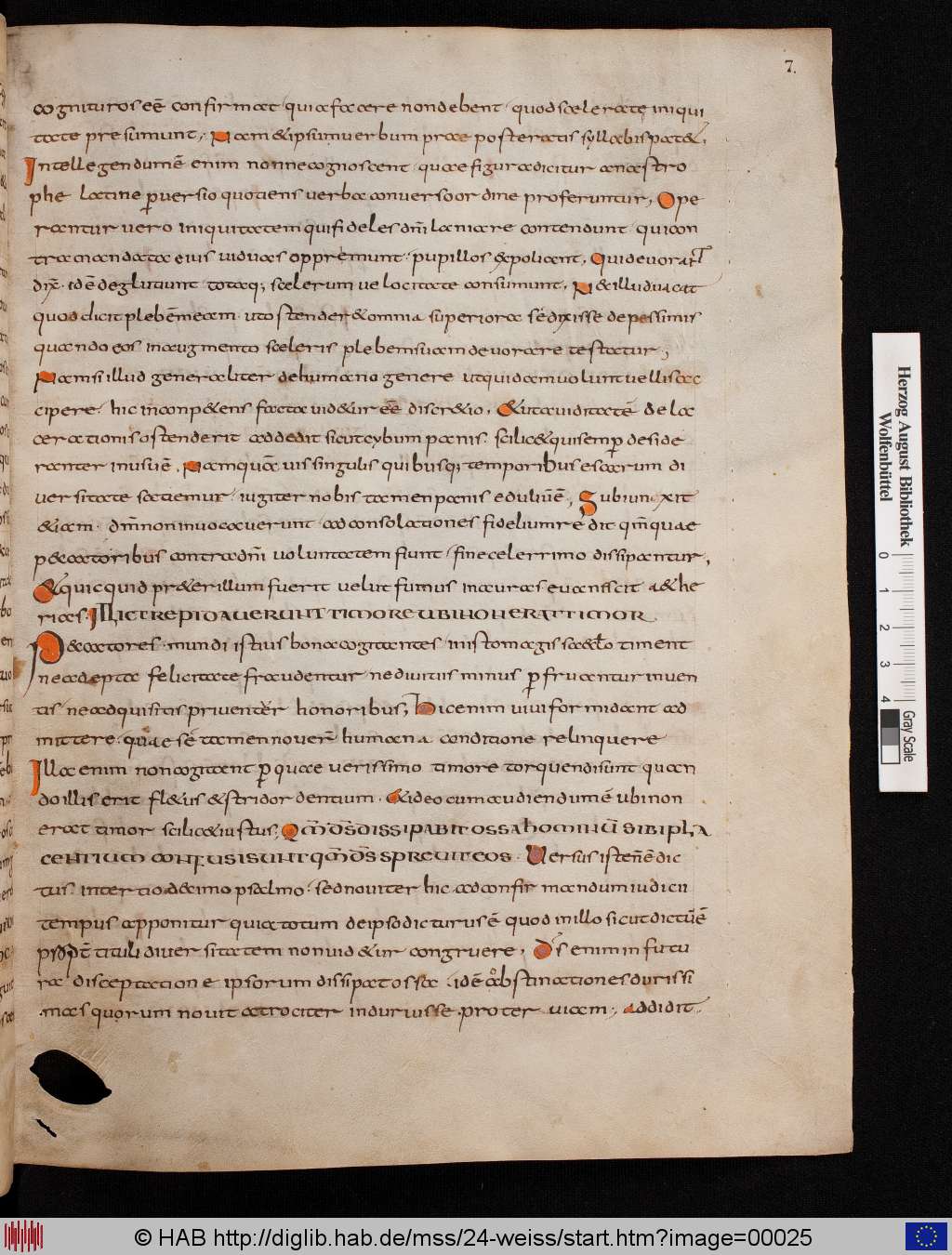 http://diglib.hab.de/mss/24-weiss/00025.jpg