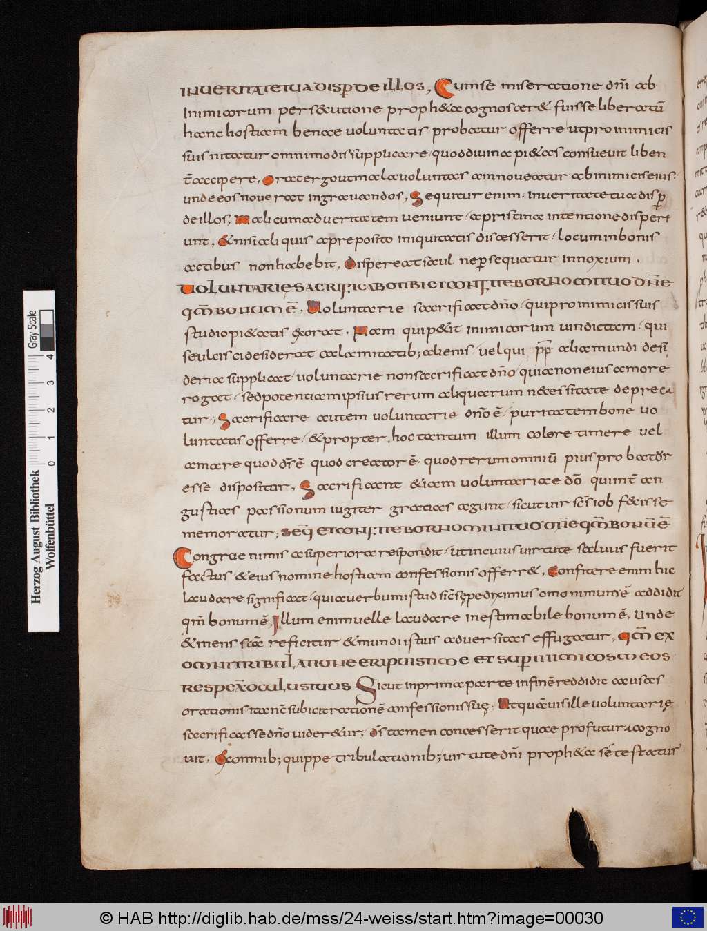 http://diglib.hab.de/mss/24-weiss/00030.jpg