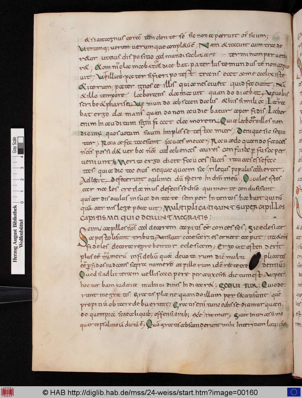 http://diglib.hab.de/mss/24-weiss/00160.jpg