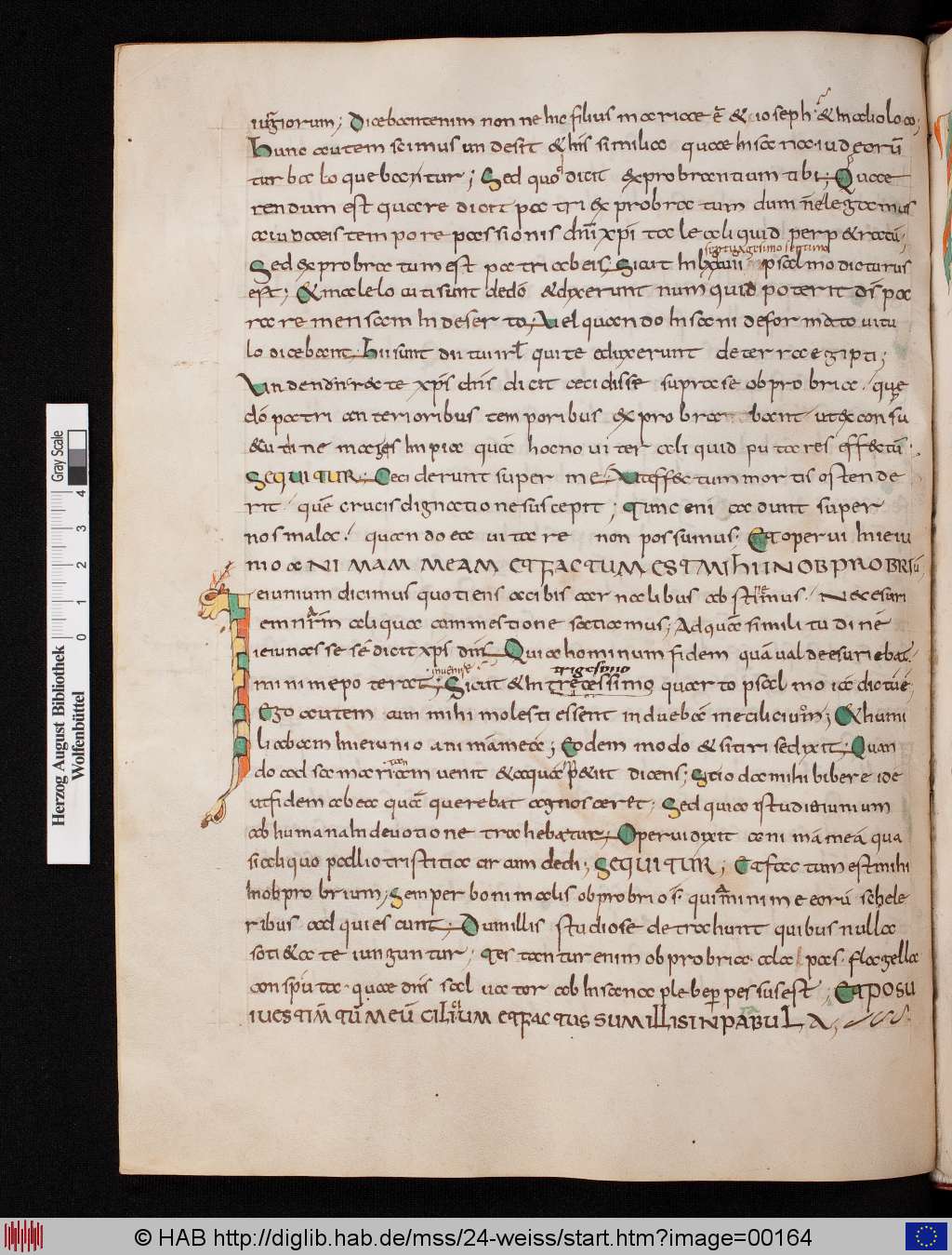 http://diglib.hab.de/mss/24-weiss/00164.jpg