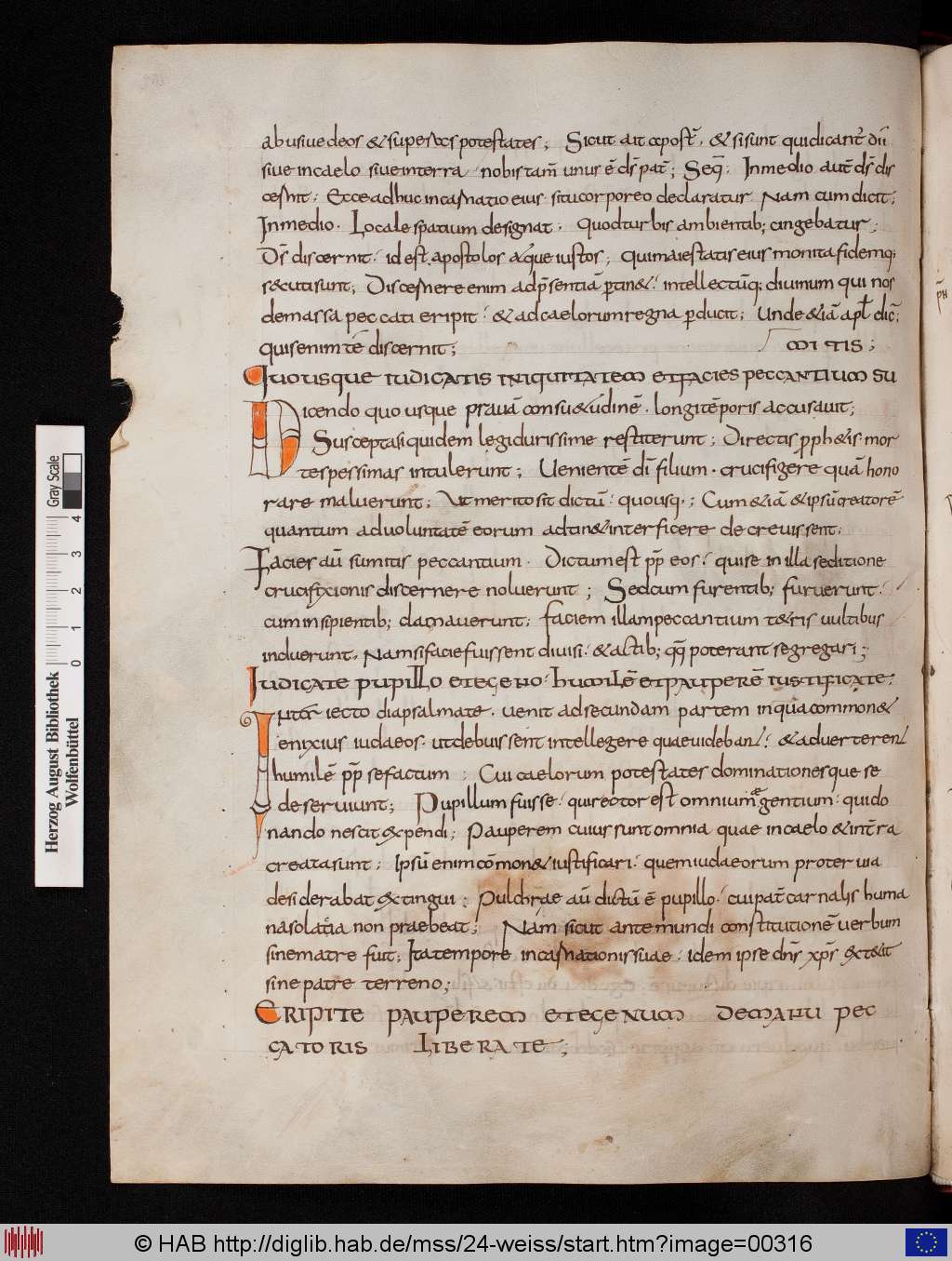 http://diglib.hab.de/mss/24-weiss/00316.jpg