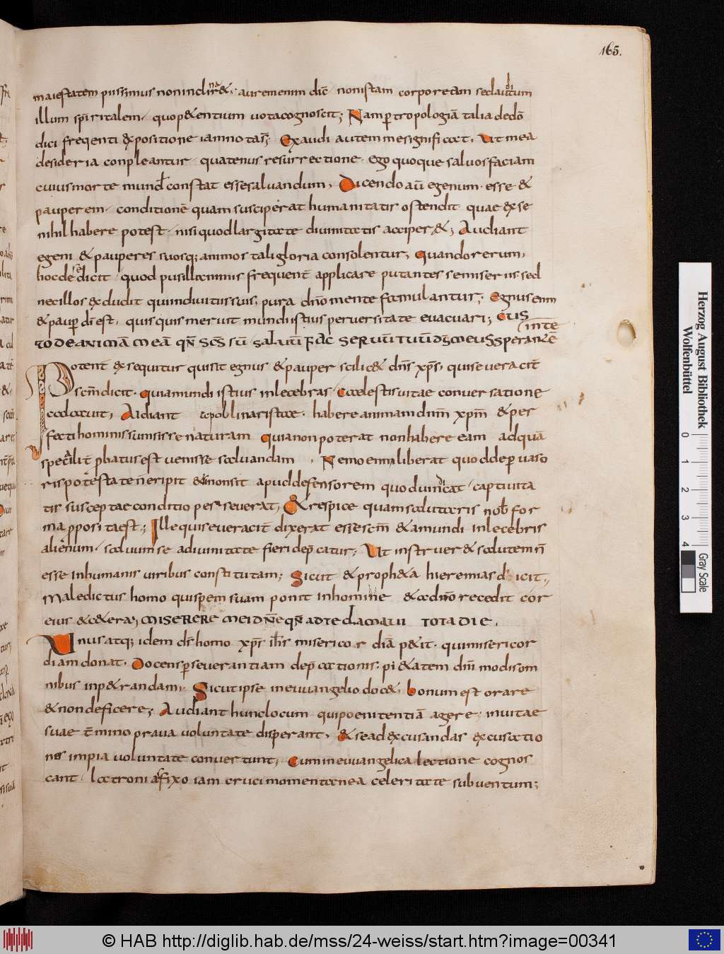 http://diglib.hab.de/mss/24-weiss/00341.jpg