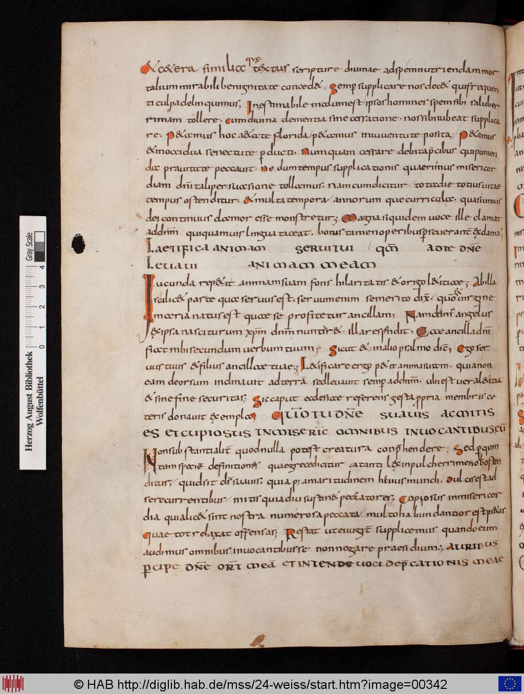 http://diglib.hab.de/mss/24-weiss/00342.jpg