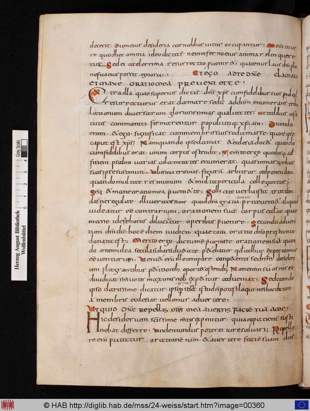 http://diglib.hab.de/mss/24-weiss/00360.jpg