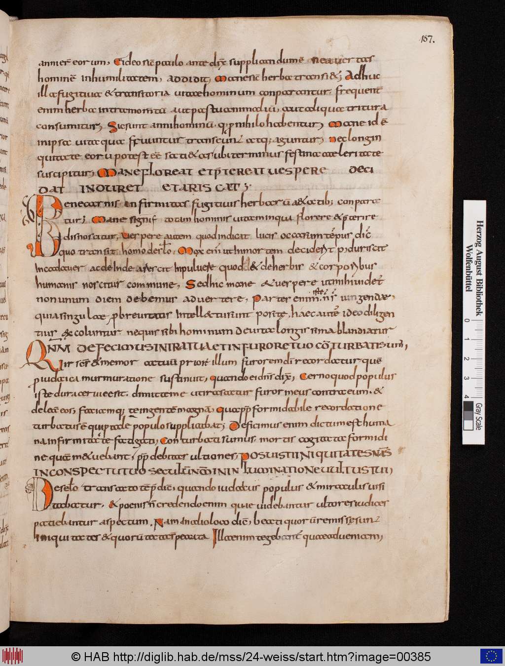 http://diglib.hab.de/mss/24-weiss/00385.jpg