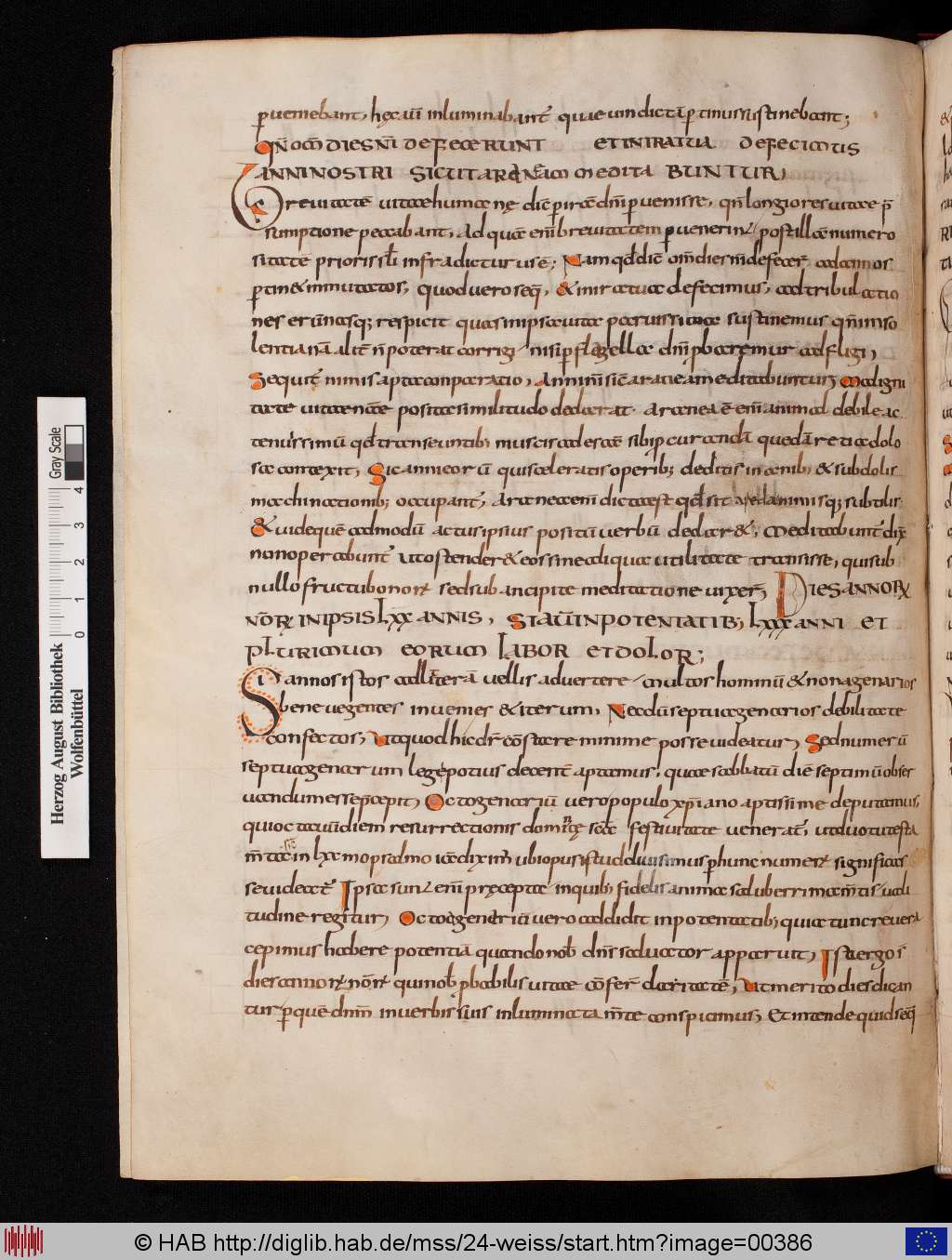 http://diglib.hab.de/mss/24-weiss/00386.jpg