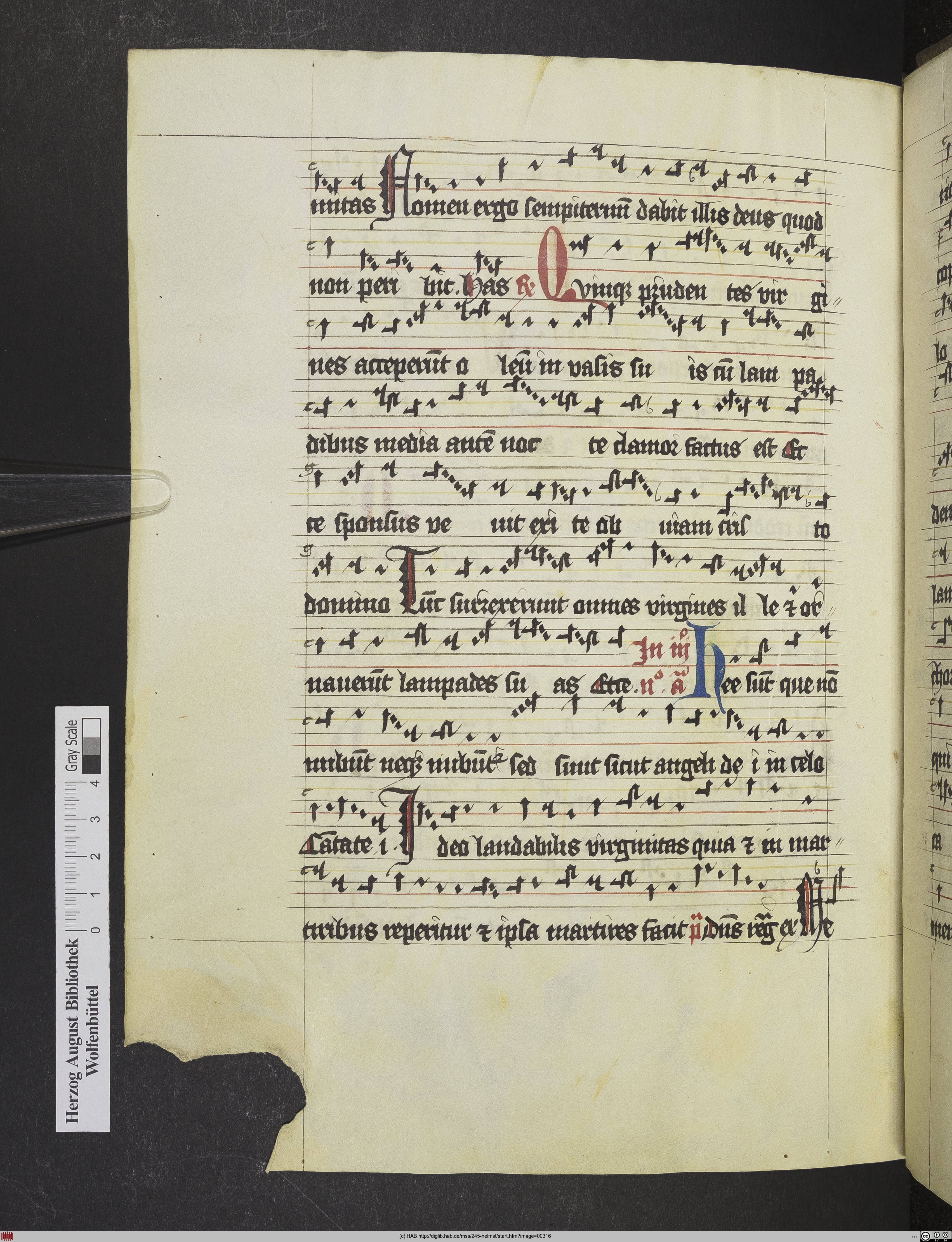 http://diglib.hab.de/mss/245-helmst/max/00316.jpg
