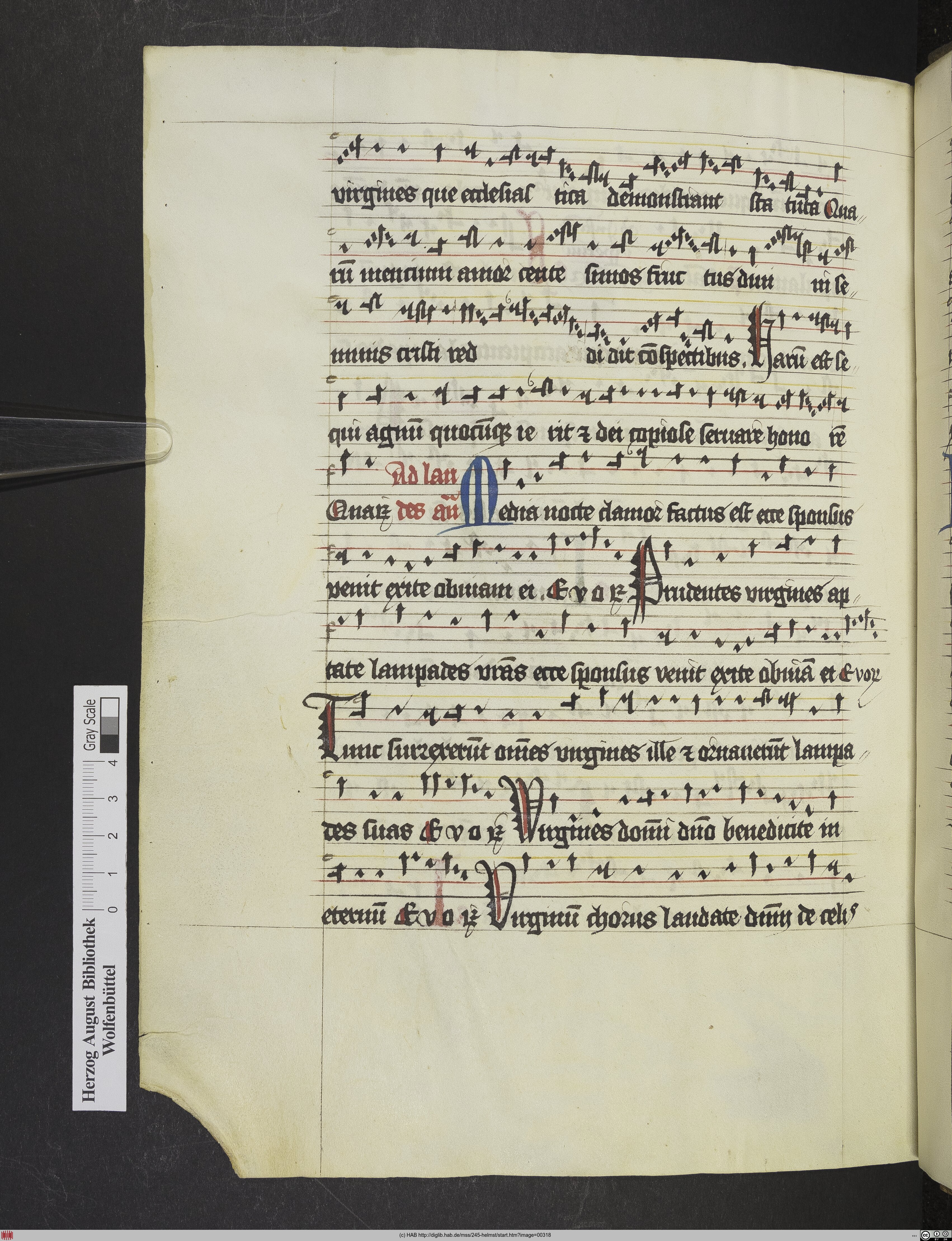 http://diglib.hab.de/mss/245-helmst/max/00318.jpg