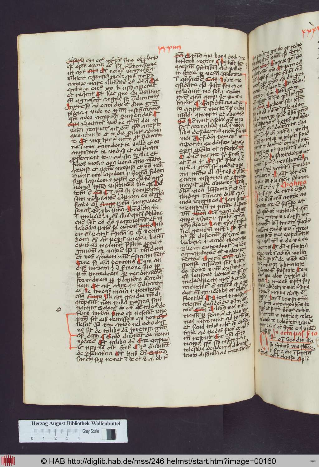 http://diglib.hab.de/mss/246-helmst/00160.jpg