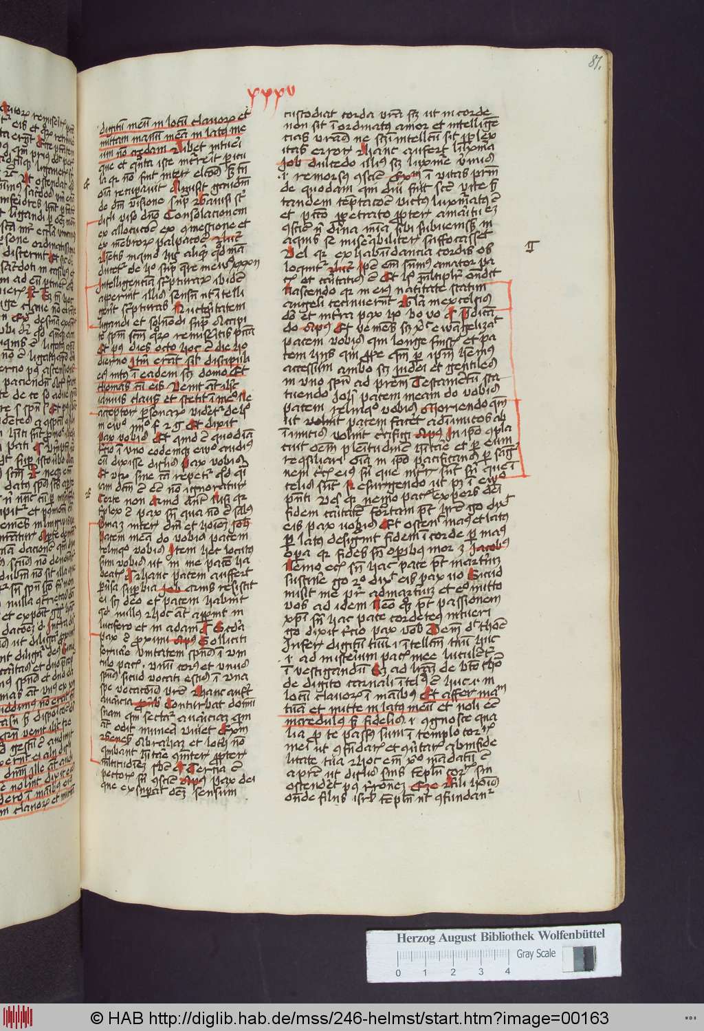 http://diglib.hab.de/mss/246-helmst/00163.jpg