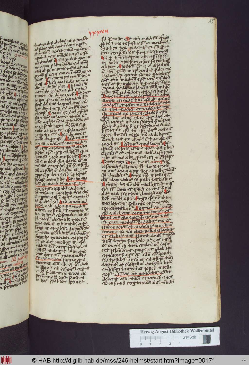 http://diglib.hab.de/mss/246-helmst/00171.jpg