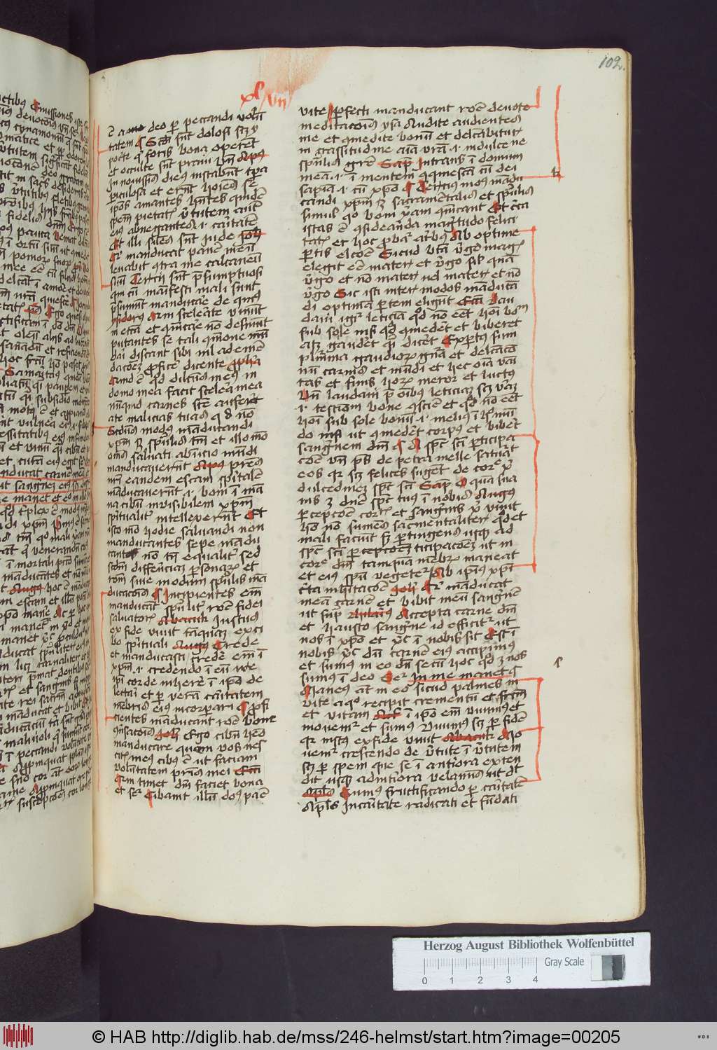 http://diglib.hab.de/mss/246-helmst/00205.jpg