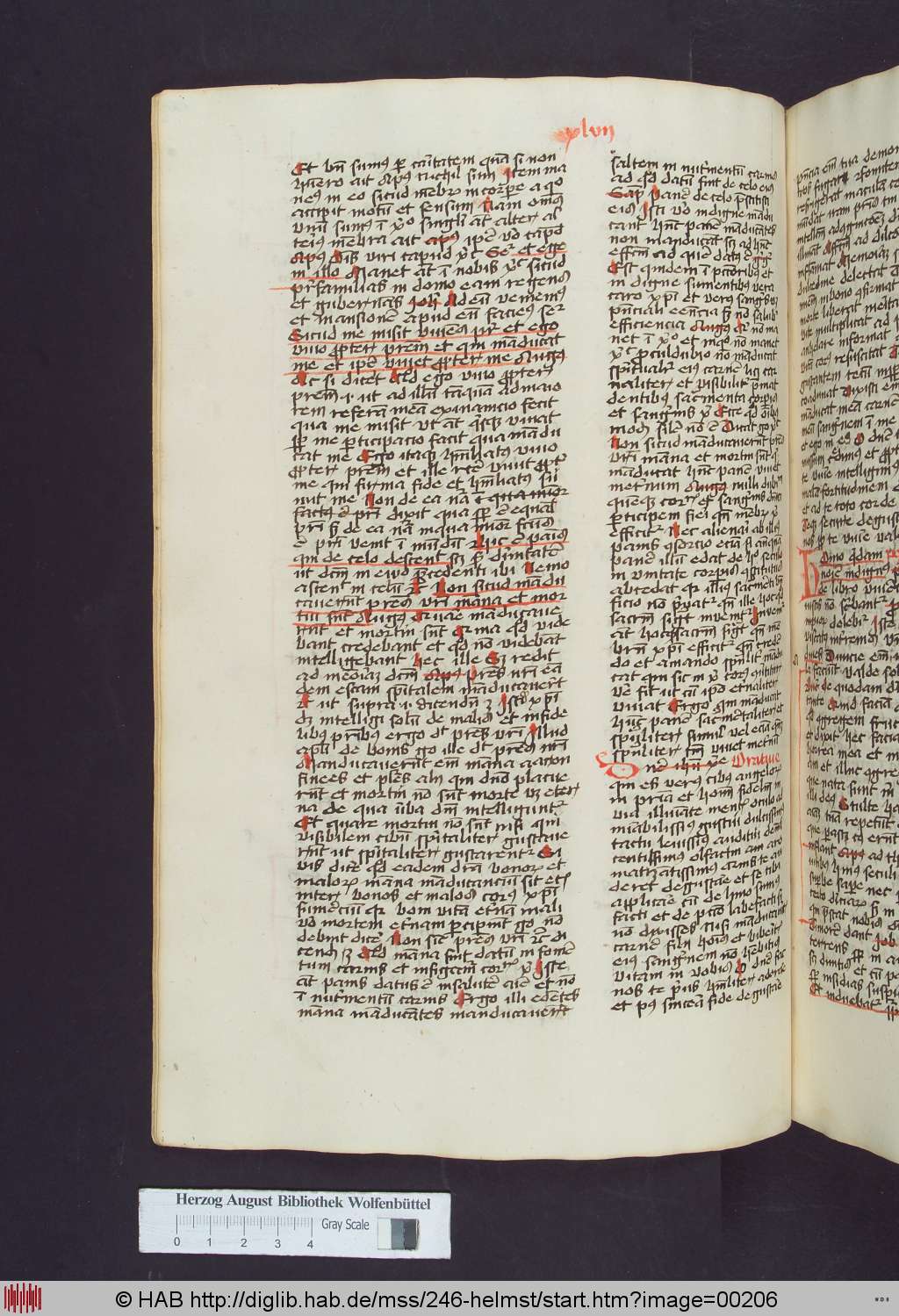 http://diglib.hab.de/mss/246-helmst/00206.jpg
