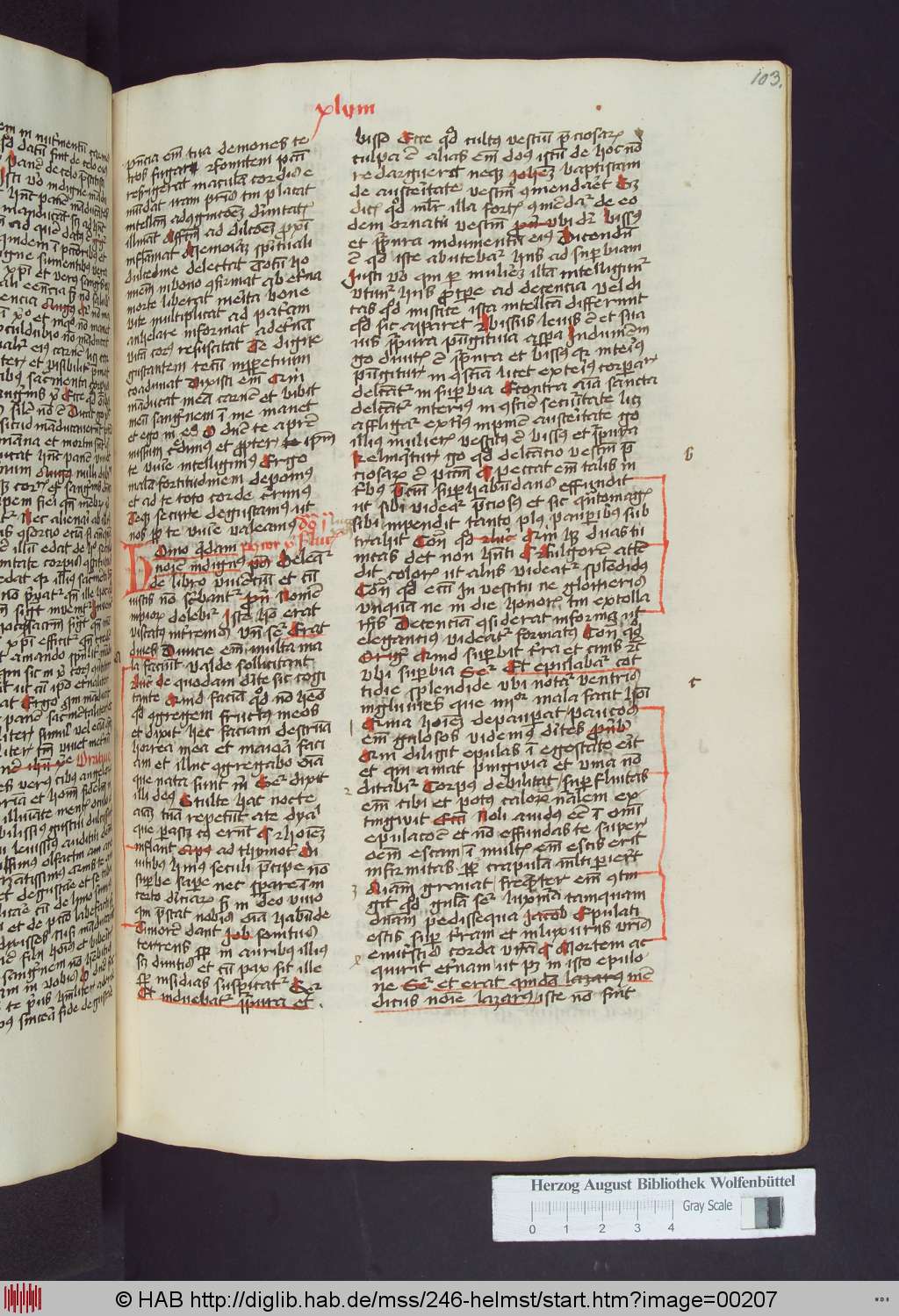 http://diglib.hab.de/mss/246-helmst/00207.jpg