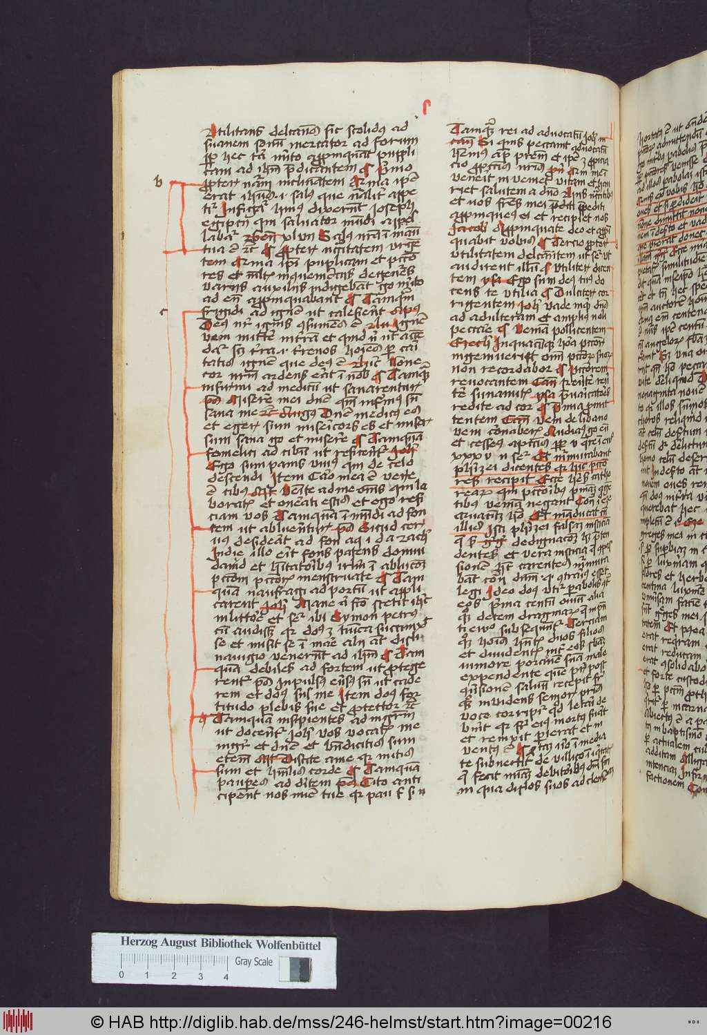 http://diglib.hab.de/mss/246-helmst/00216.jpg