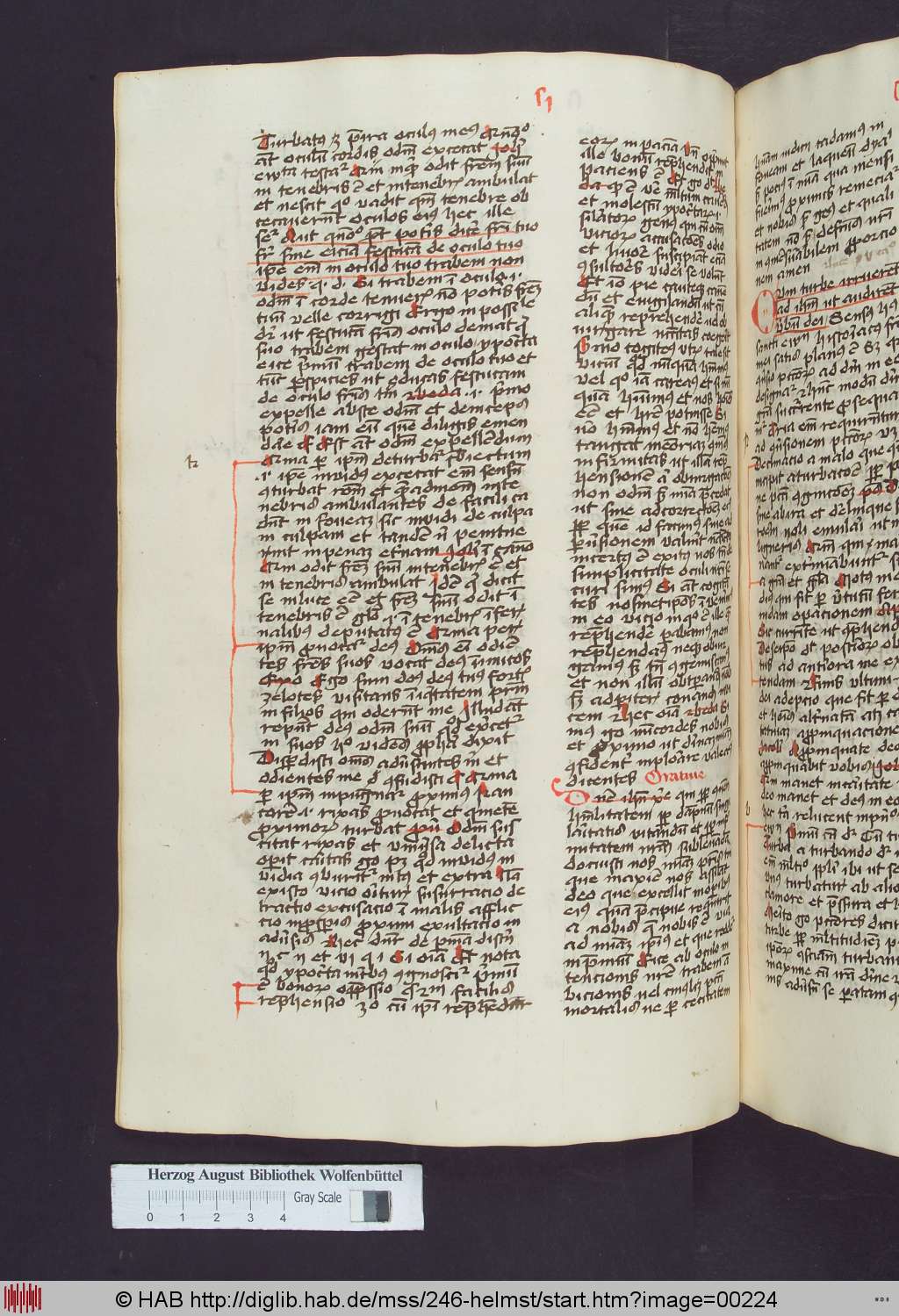 http://diglib.hab.de/mss/246-helmst/00224.jpg