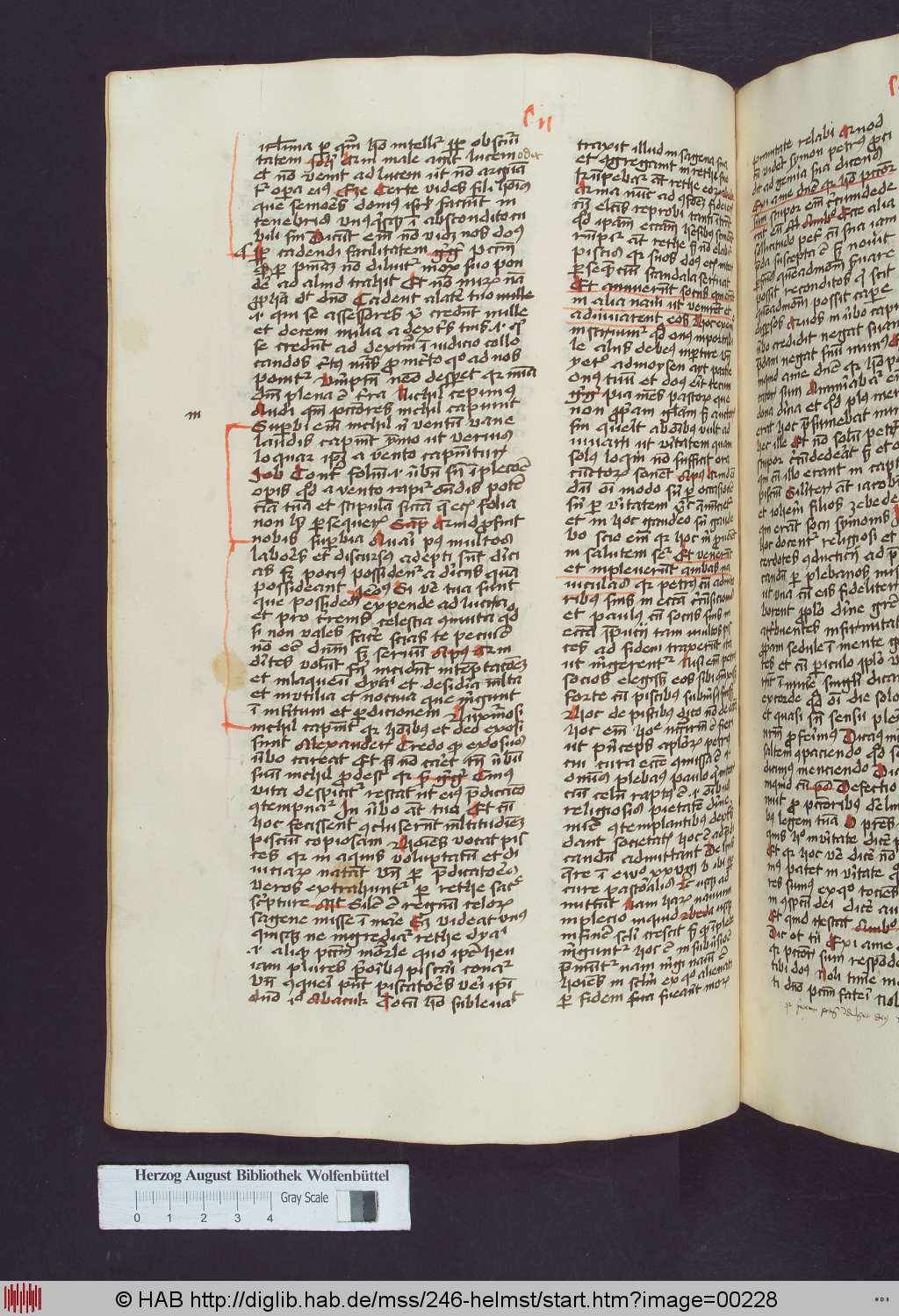 http://diglib.hab.de/mss/246-helmst/00228.jpg