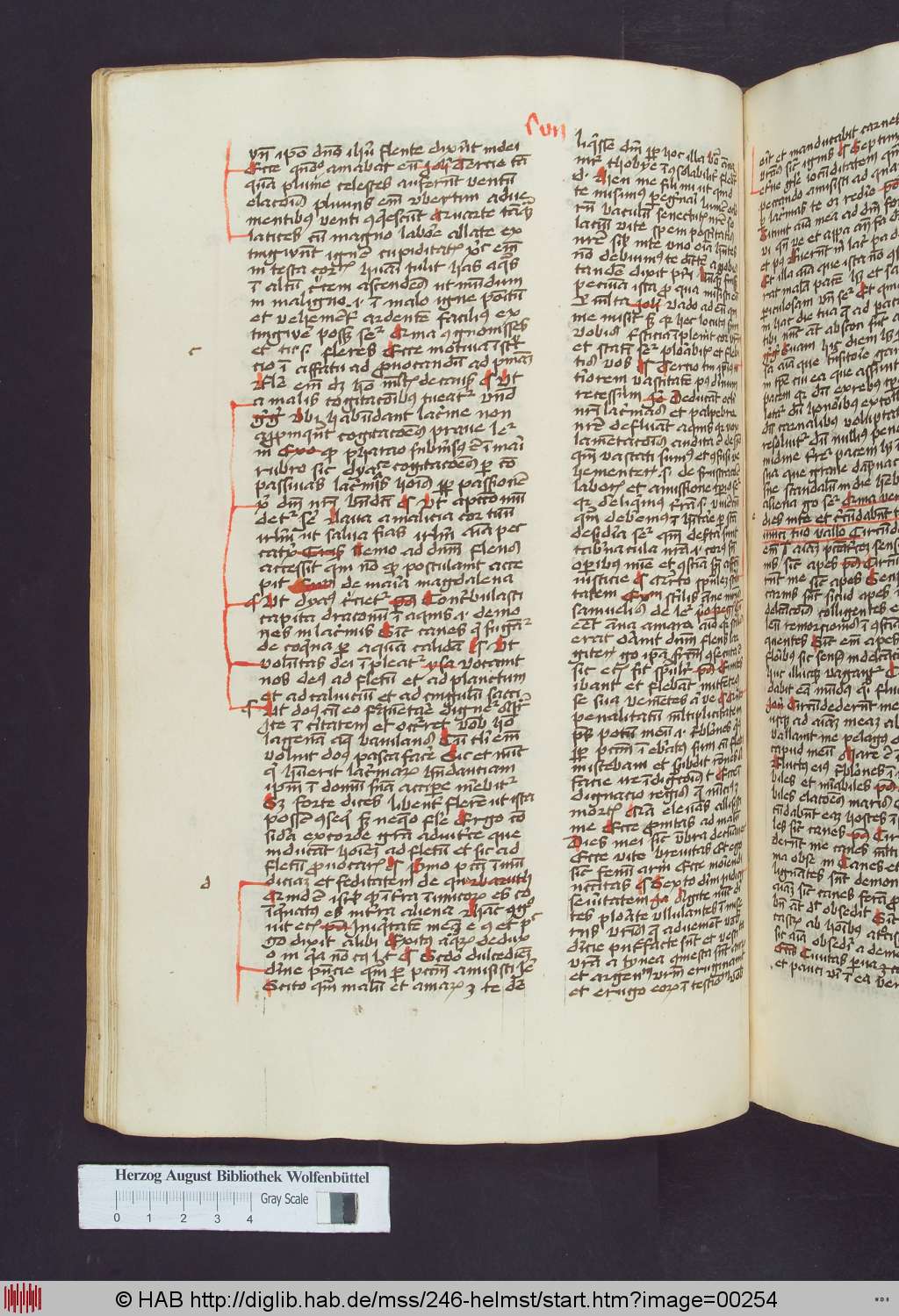 http://diglib.hab.de/mss/246-helmst/00254.jpg