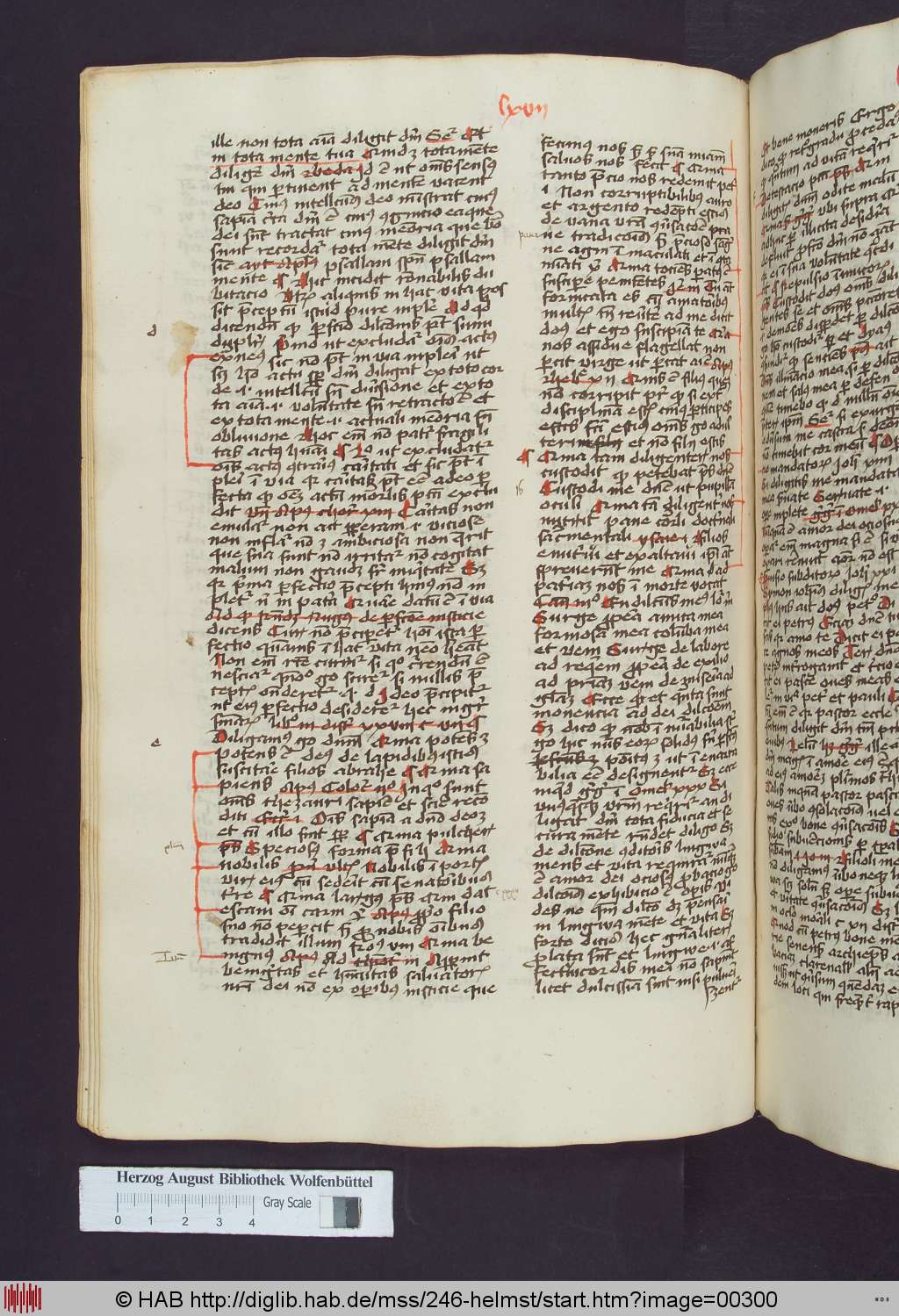 http://diglib.hab.de/mss/246-helmst/00300.jpg
