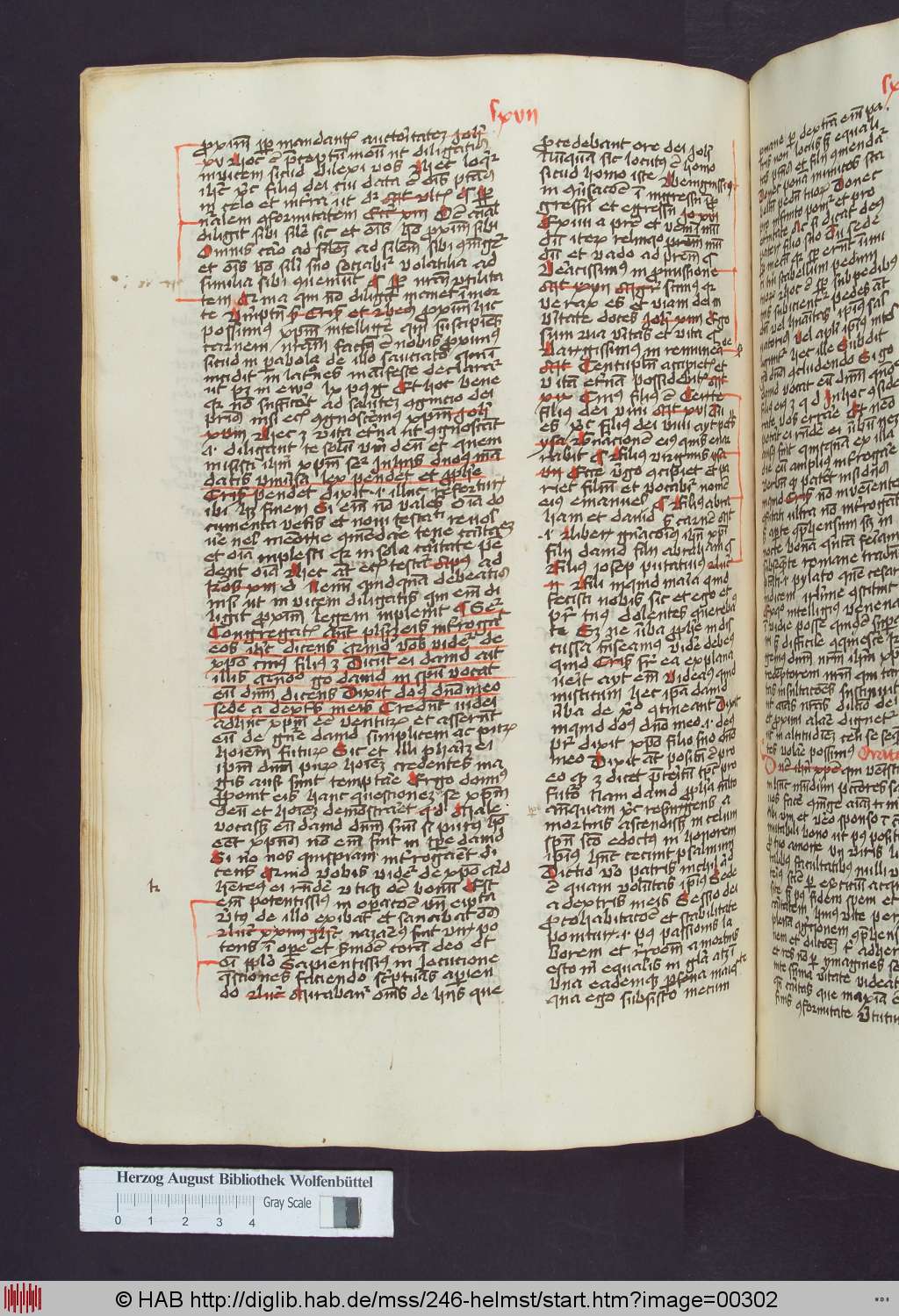 http://diglib.hab.de/mss/246-helmst/00302.jpg