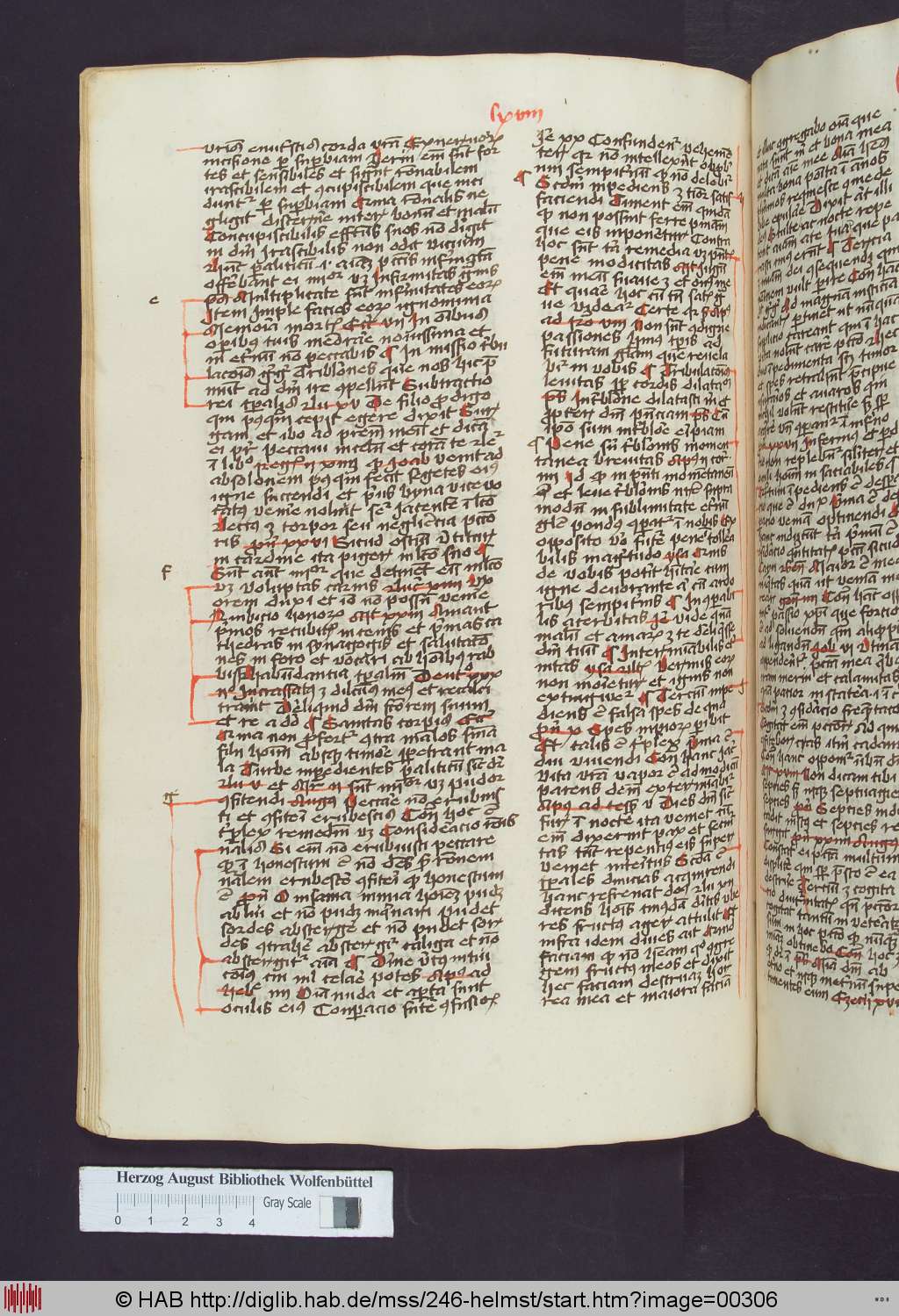 http://diglib.hab.de/mss/246-helmst/00306.jpg