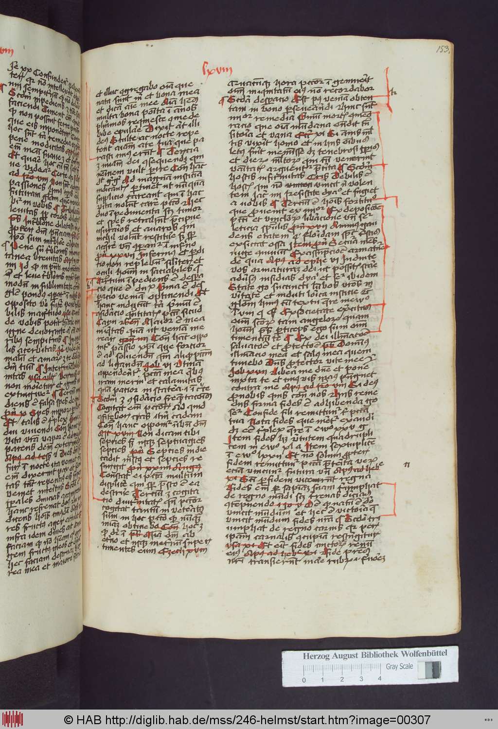 http://diglib.hab.de/mss/246-helmst/00307.jpg