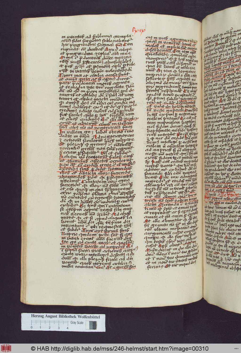 http://diglib.hab.de/mss/246-helmst/00310.jpg