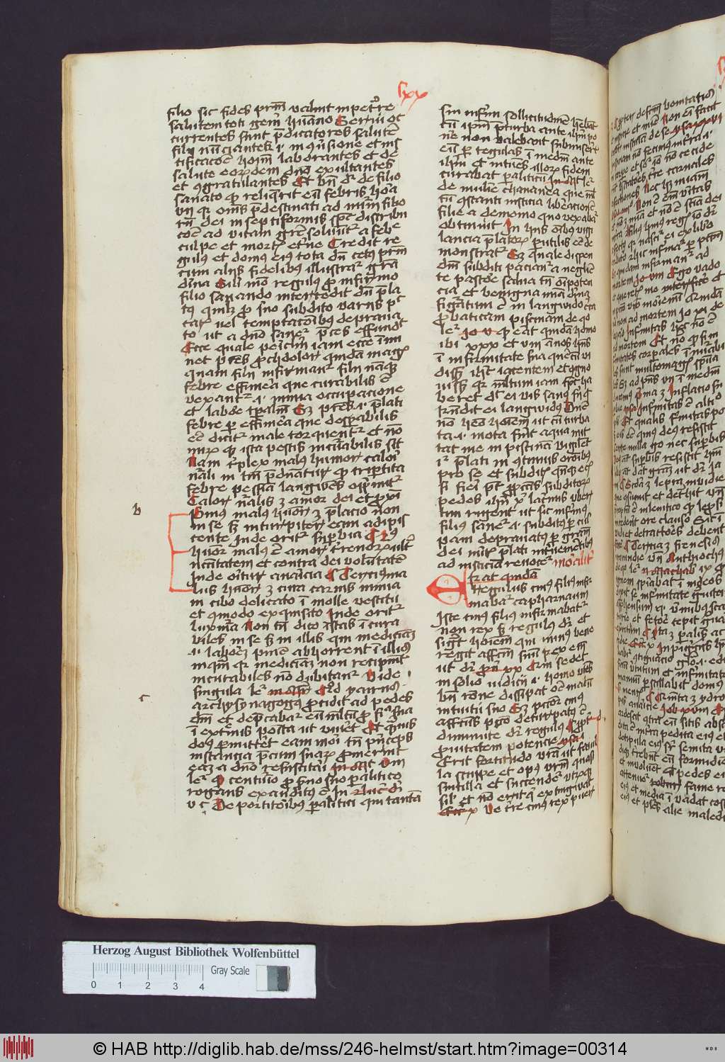 http://diglib.hab.de/mss/246-helmst/00314.jpg