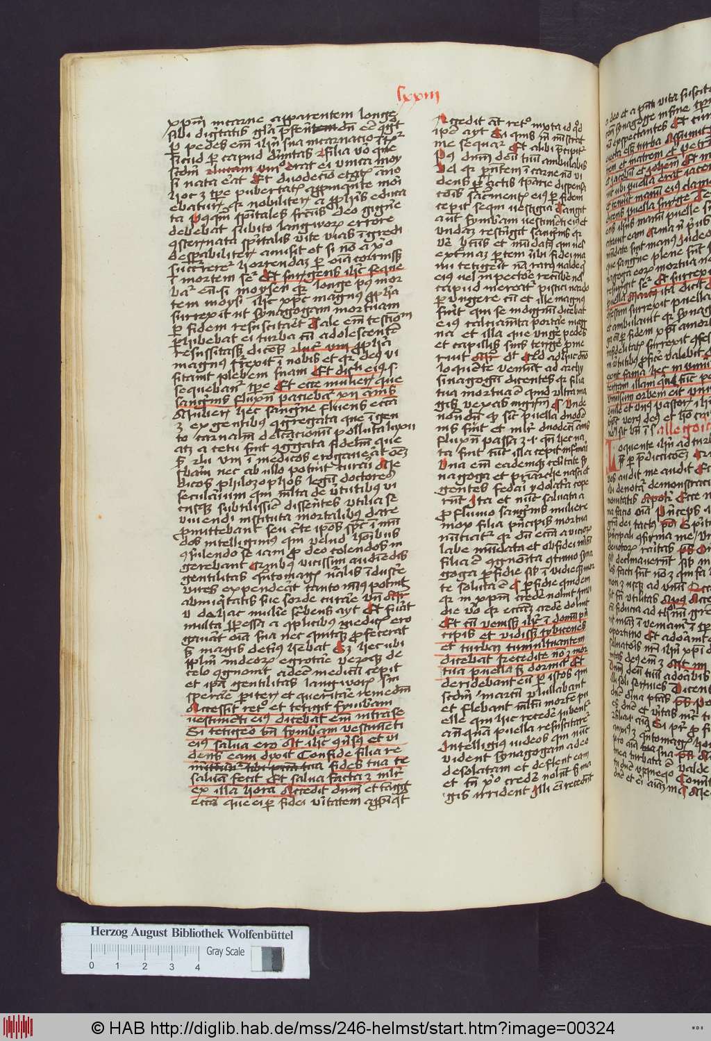 http://diglib.hab.de/mss/246-helmst/00324.jpg