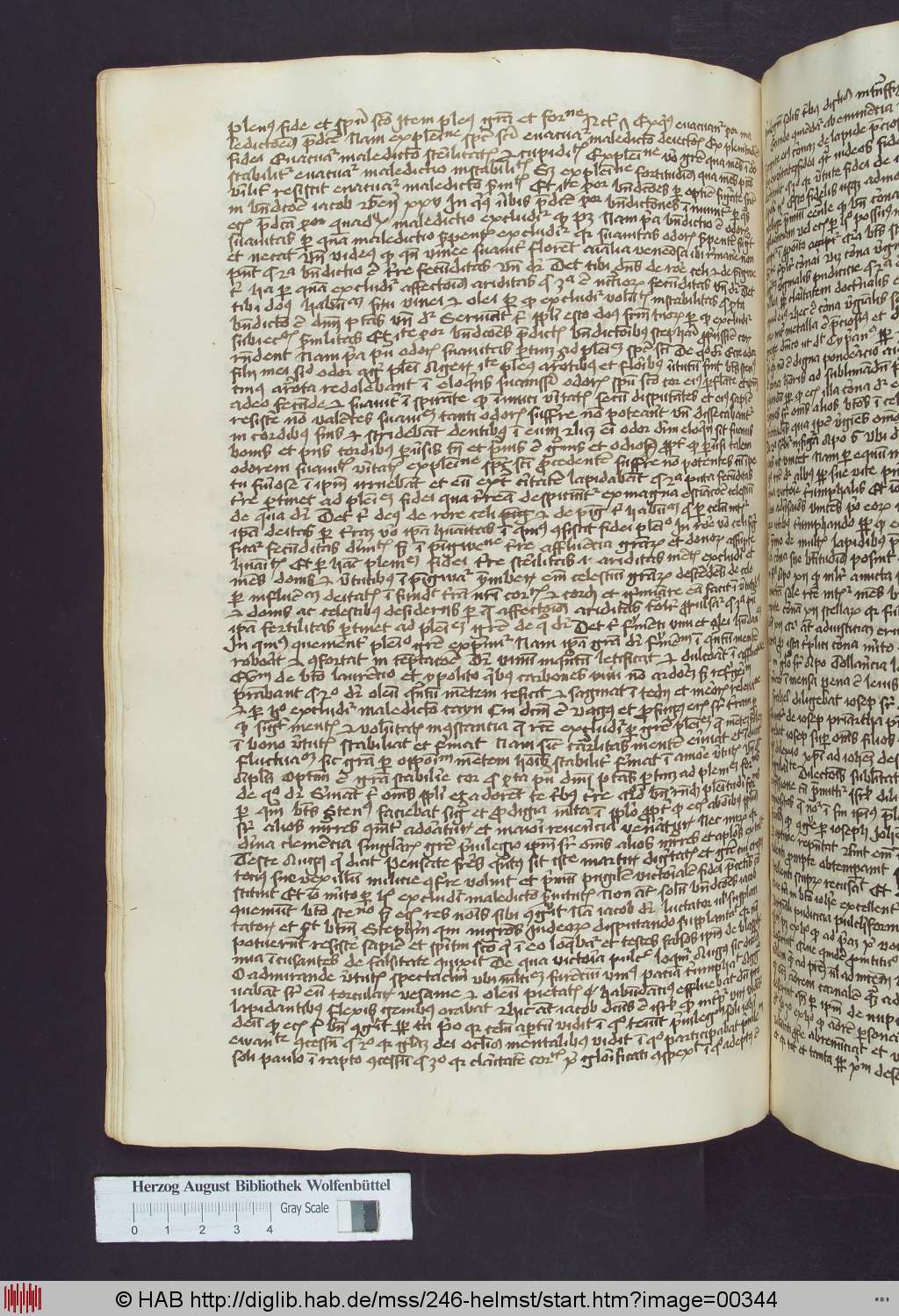 http://diglib.hab.de/mss/246-helmst/00344.jpg